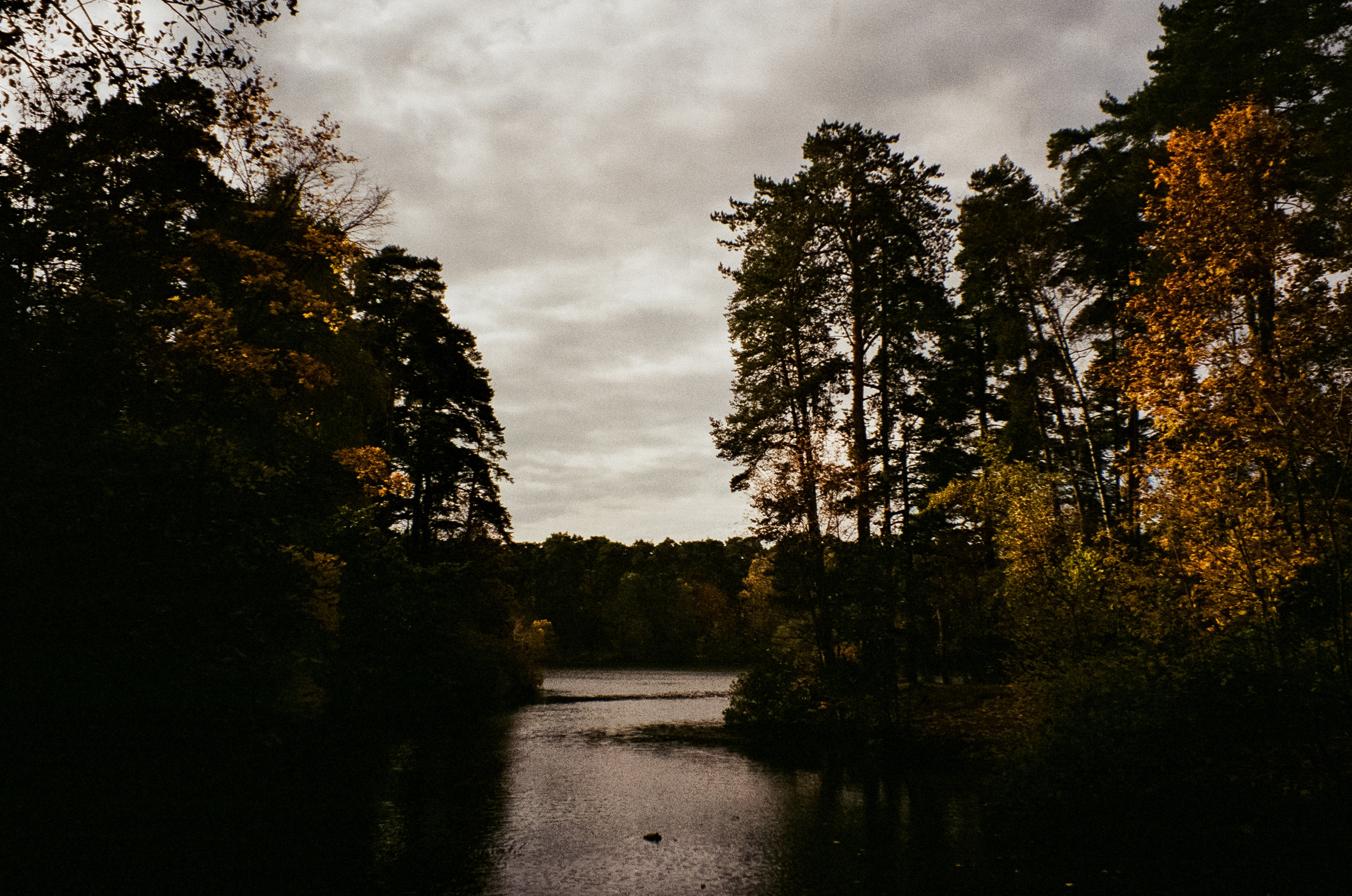 Осень на Kodak Gold 200