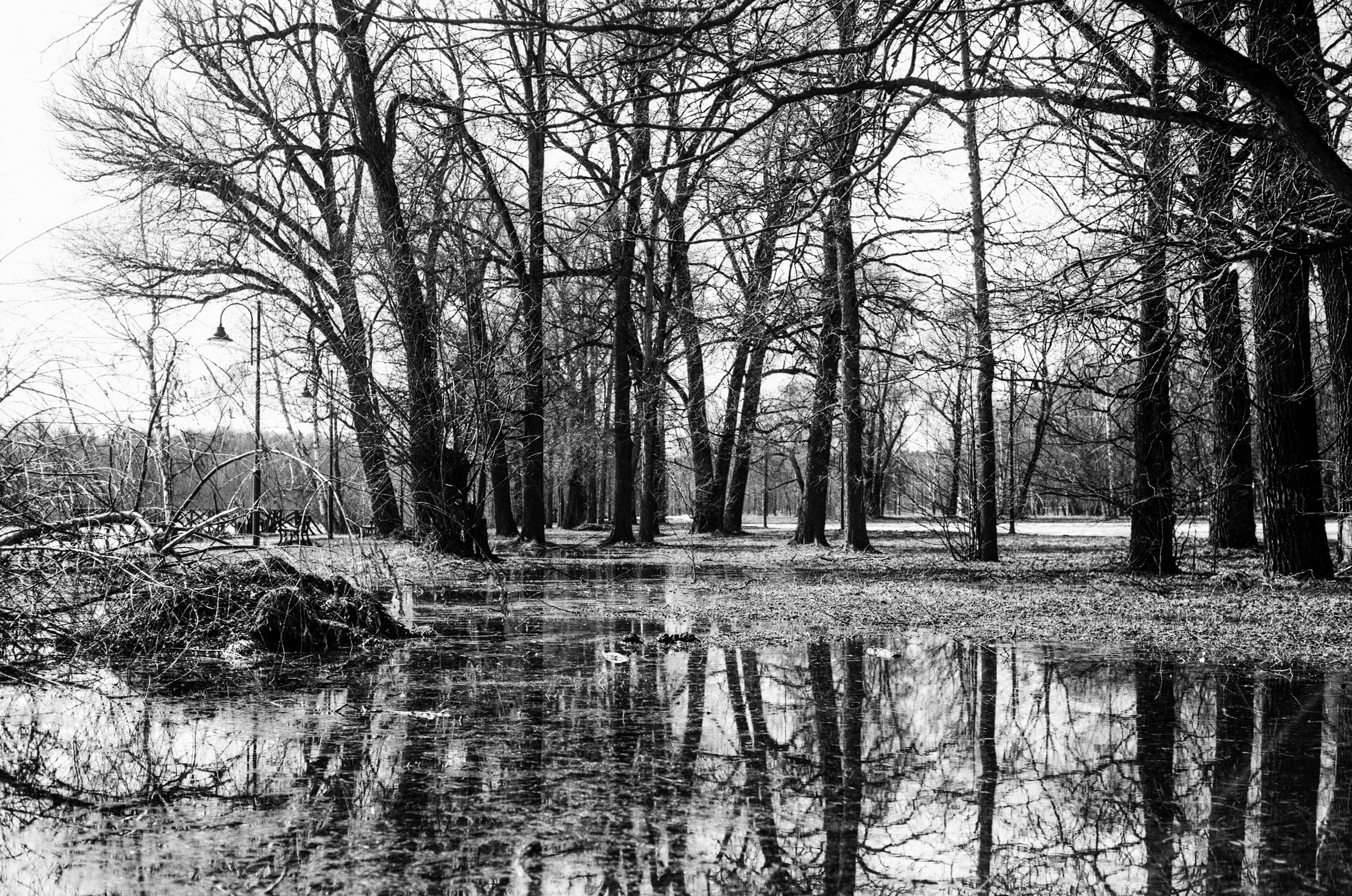 Minolta V2 / ТАСМА Тип-25