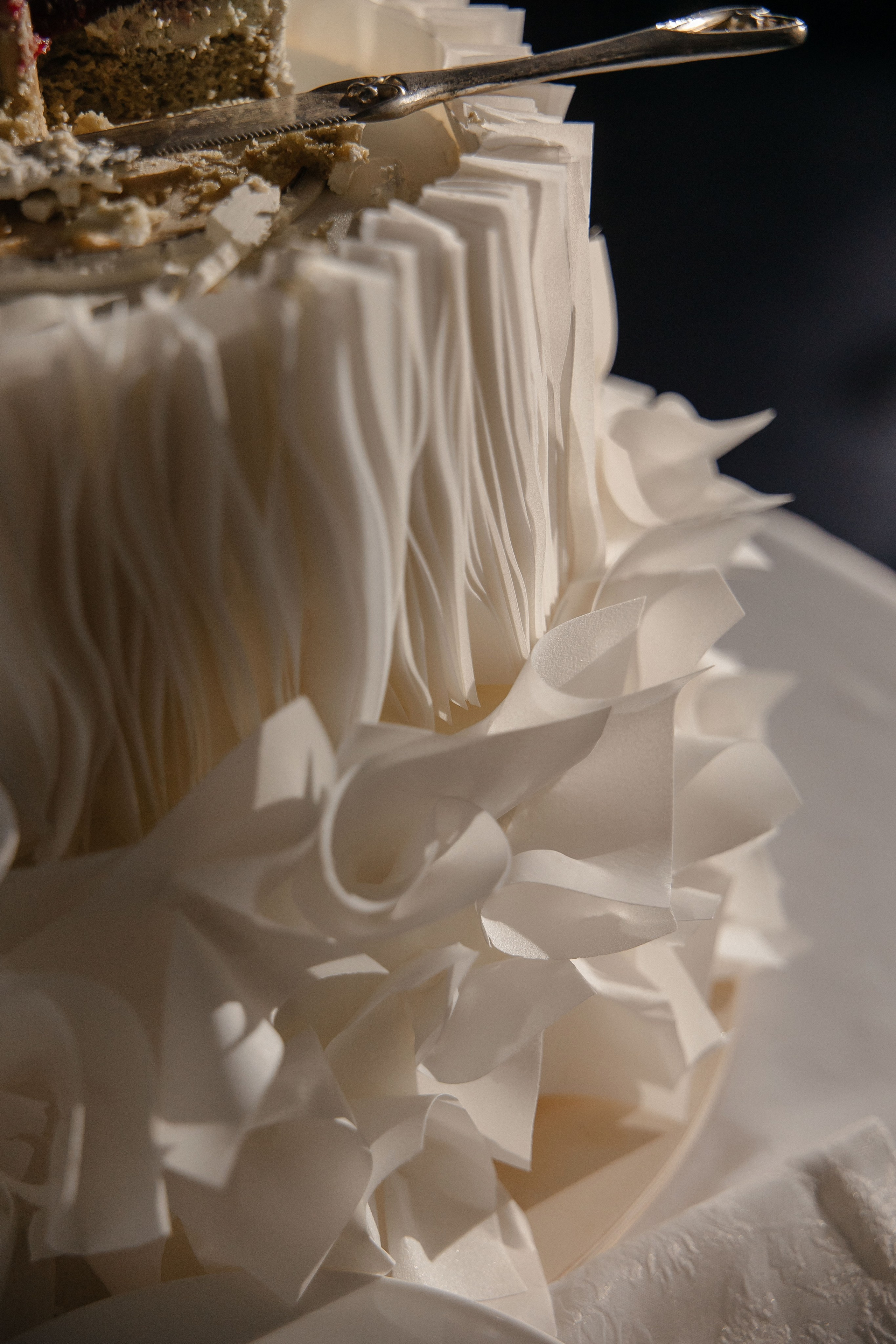 Арина и Дима. Коваленко Алена │ Фотограф