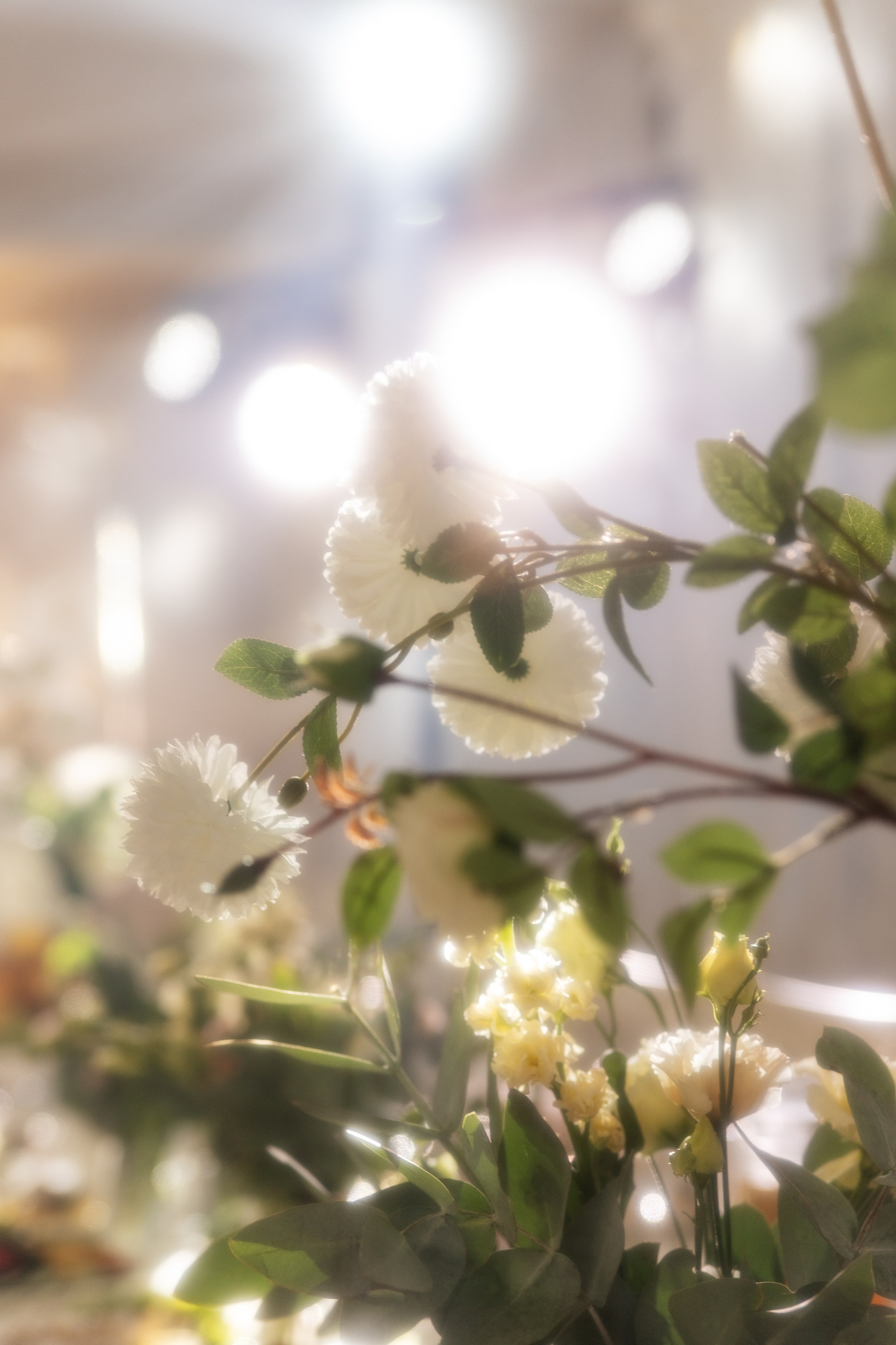 D&R | Krasnodar. Свадебный фотограф Краснодар Марина Зверева