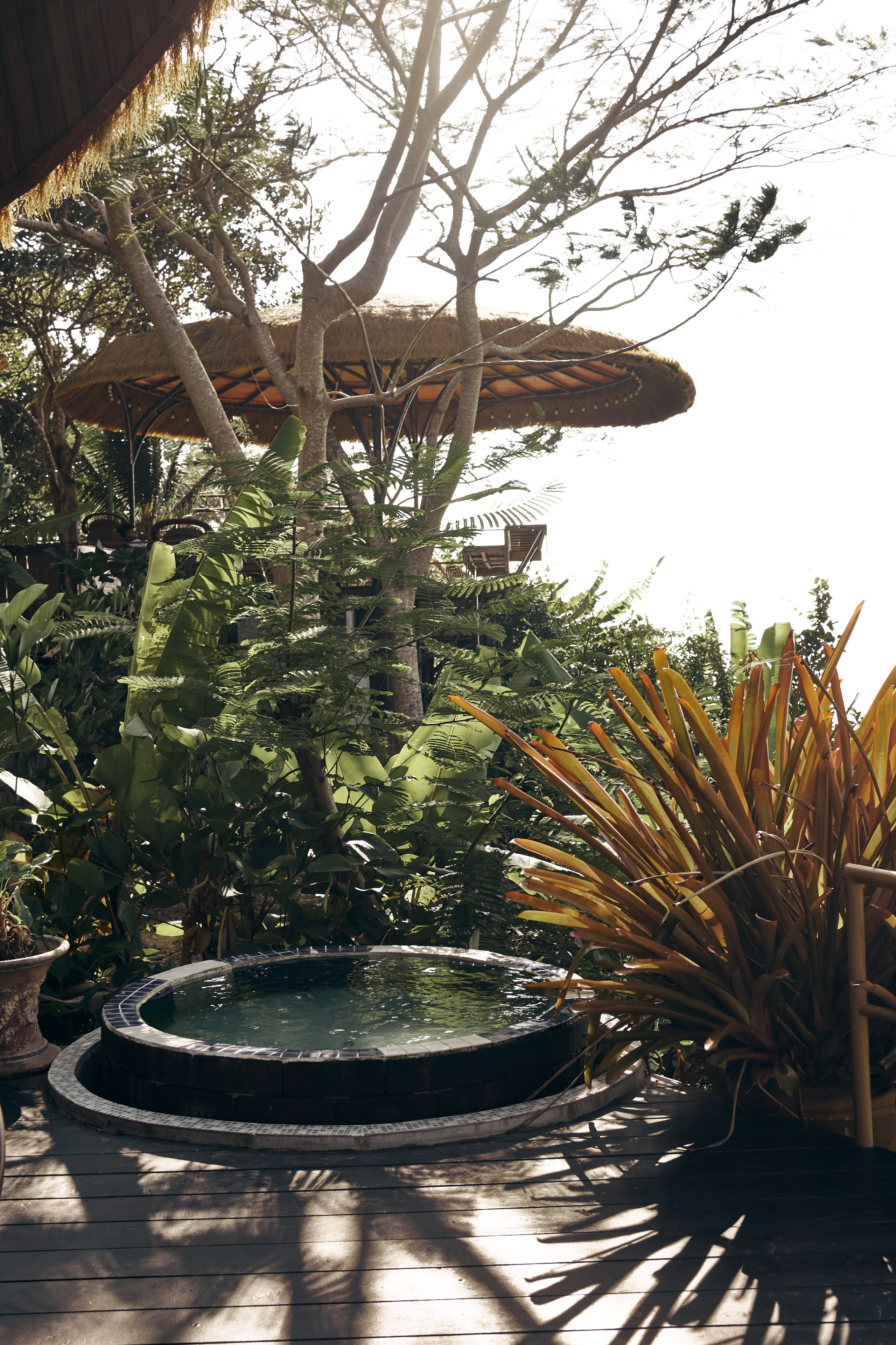 Jungle Farm. Mayskaya photography