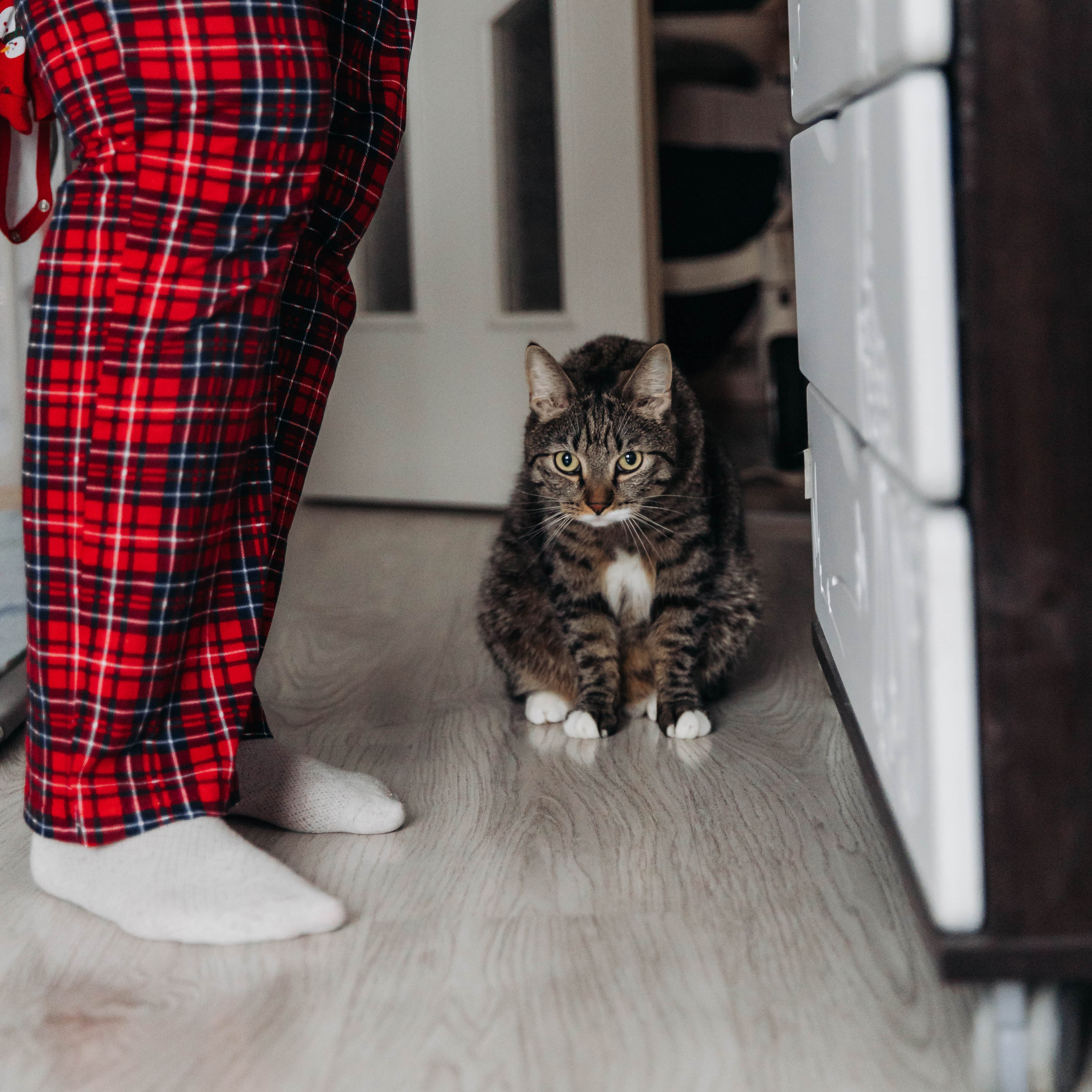 Лена и Ильюша. Свадебный и семейный фотограф в Санкт-Петербурге Лолита Евстифеева