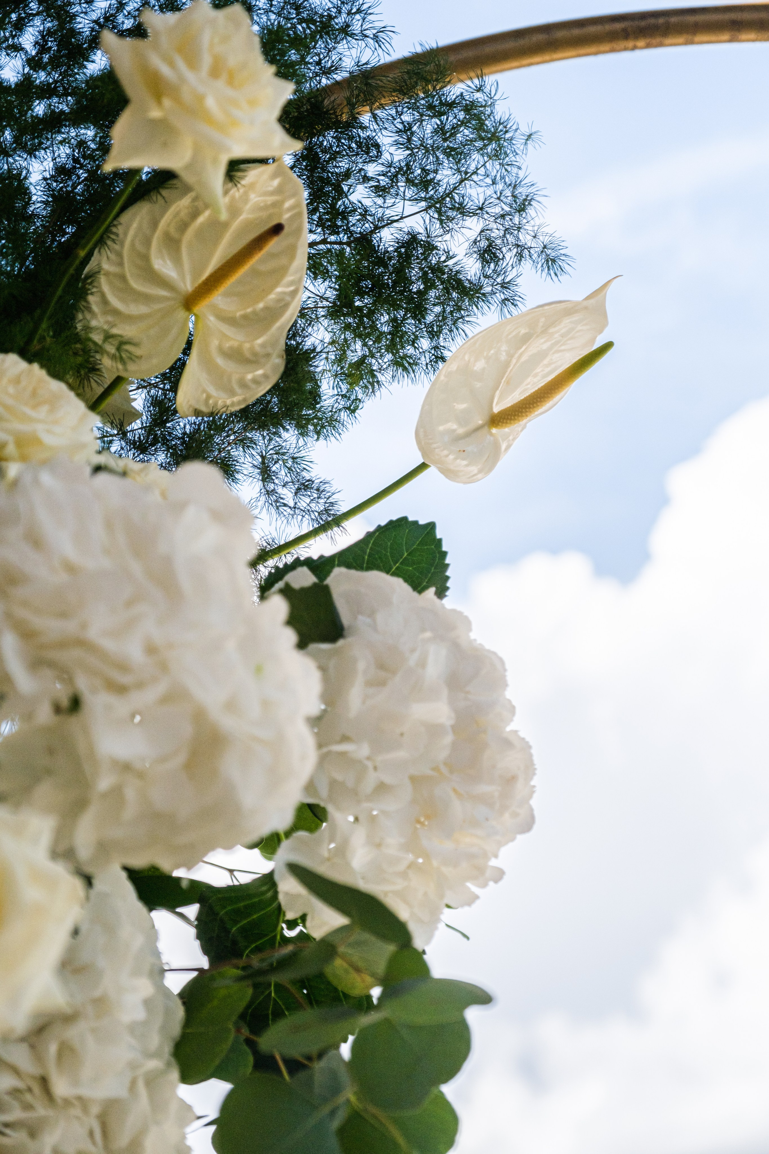 Виктория / Евгений. Свадебный Видеограф Фотограф в Сочи