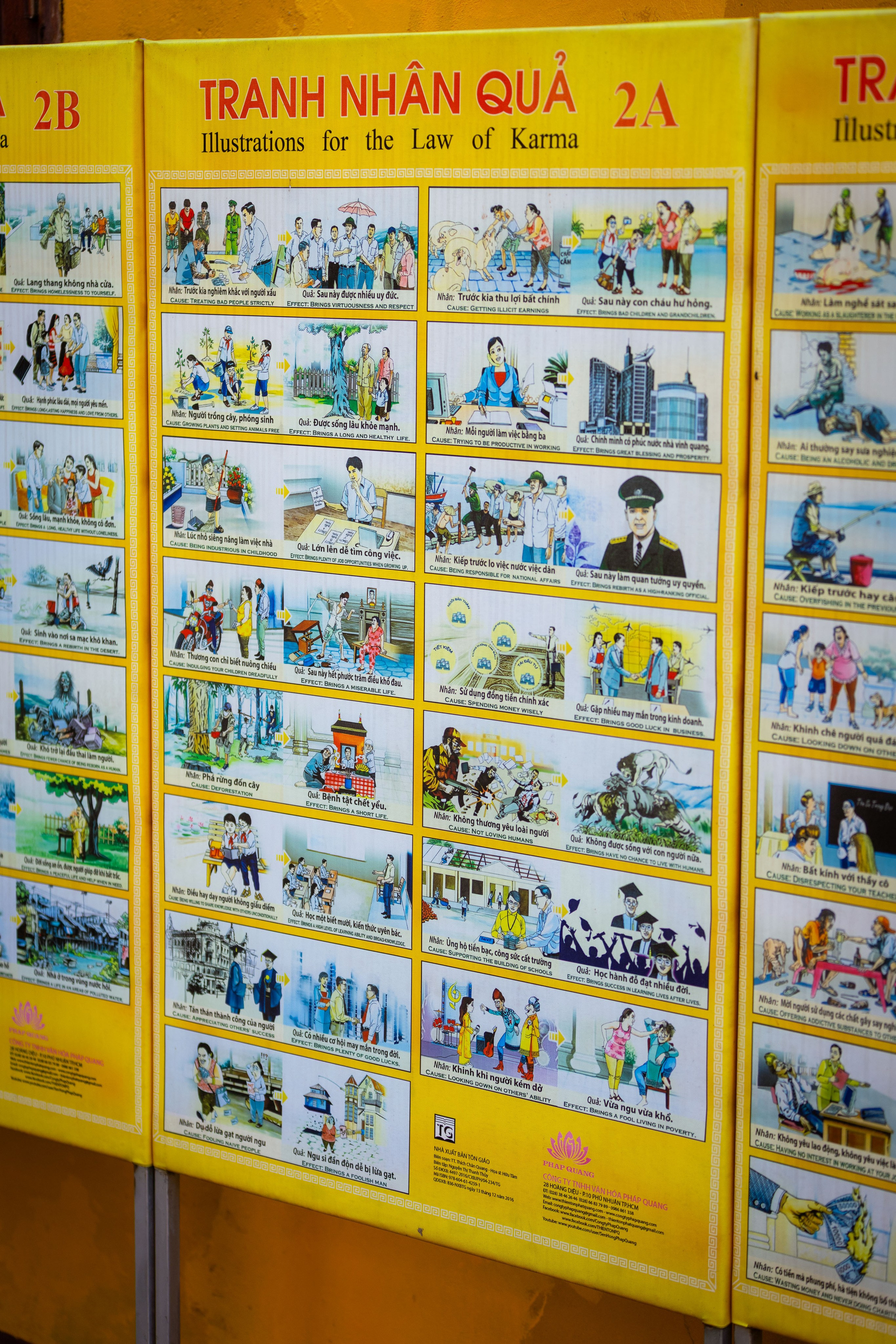 Вьетнам (зима 2025-2026). Фотограф Виноградов Константин