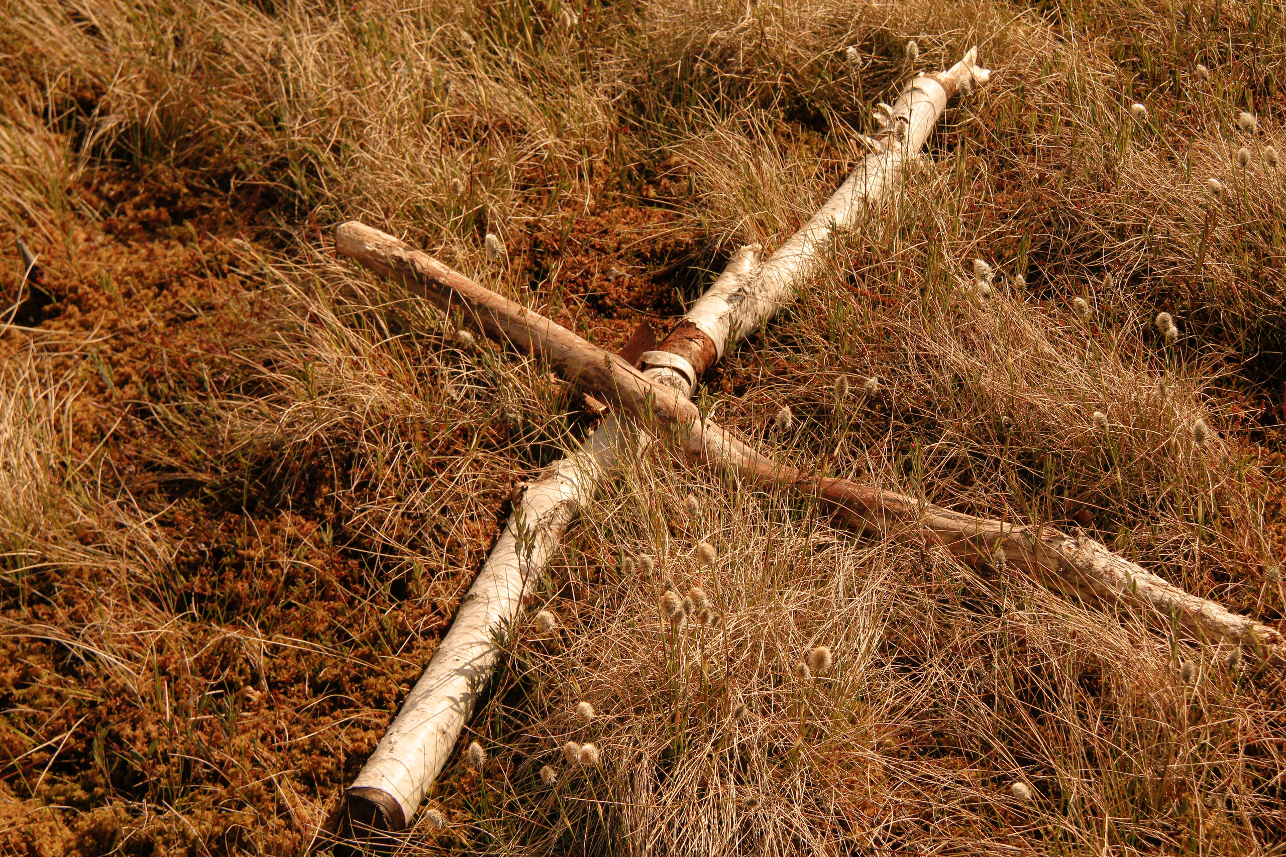 Болотный Хоббит. Карина и Аня. Janie valde | visual artist