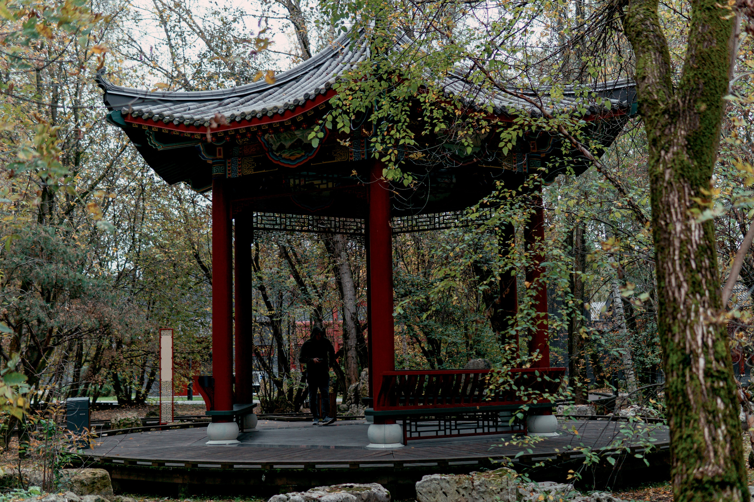 Китайский сад Хуамин. Алексей Никифоров свадебный и семейный фотограф Москва, Химки