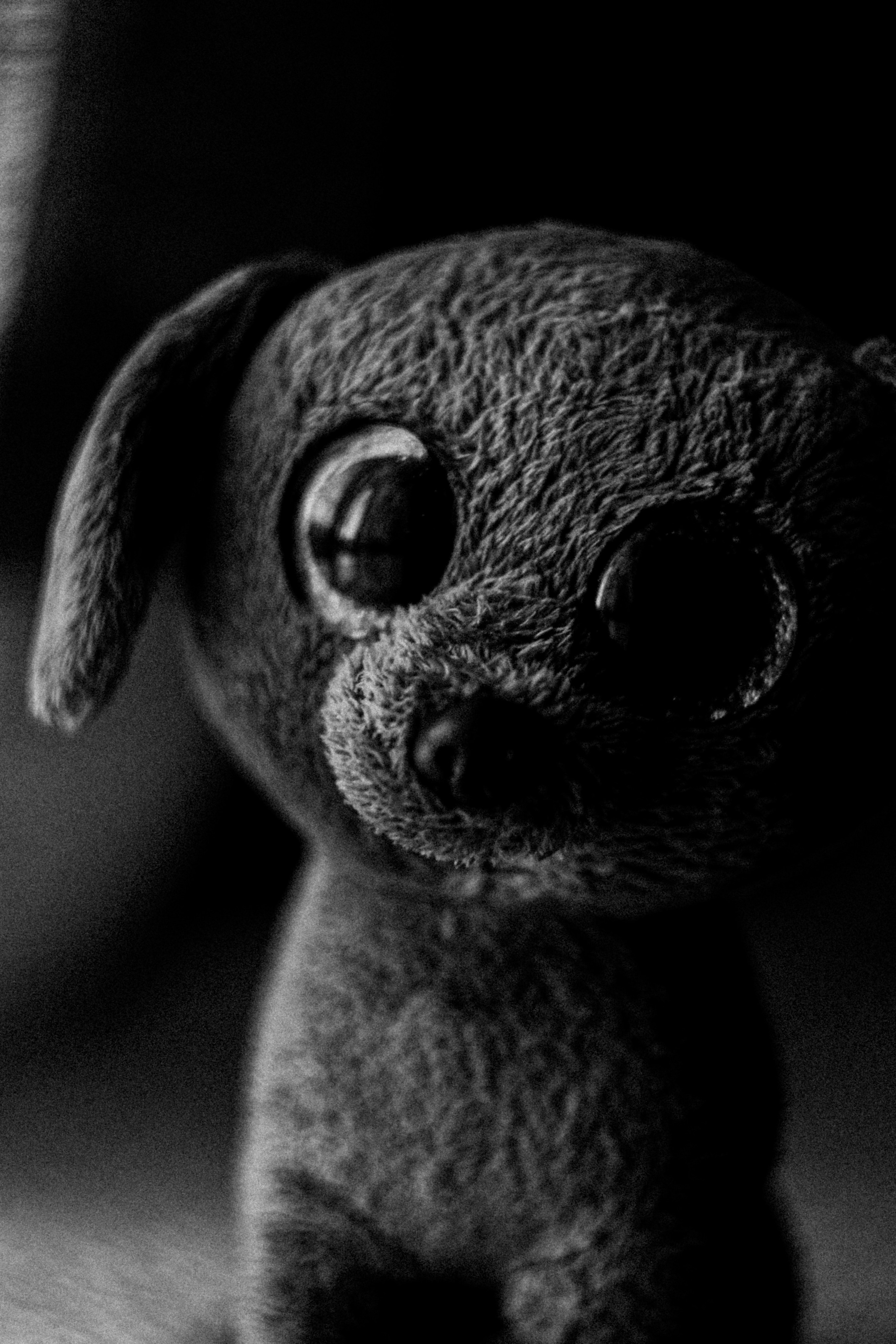 Дневник сновидений. Предание о руинах: АРХИВ ПУСТОТЫ