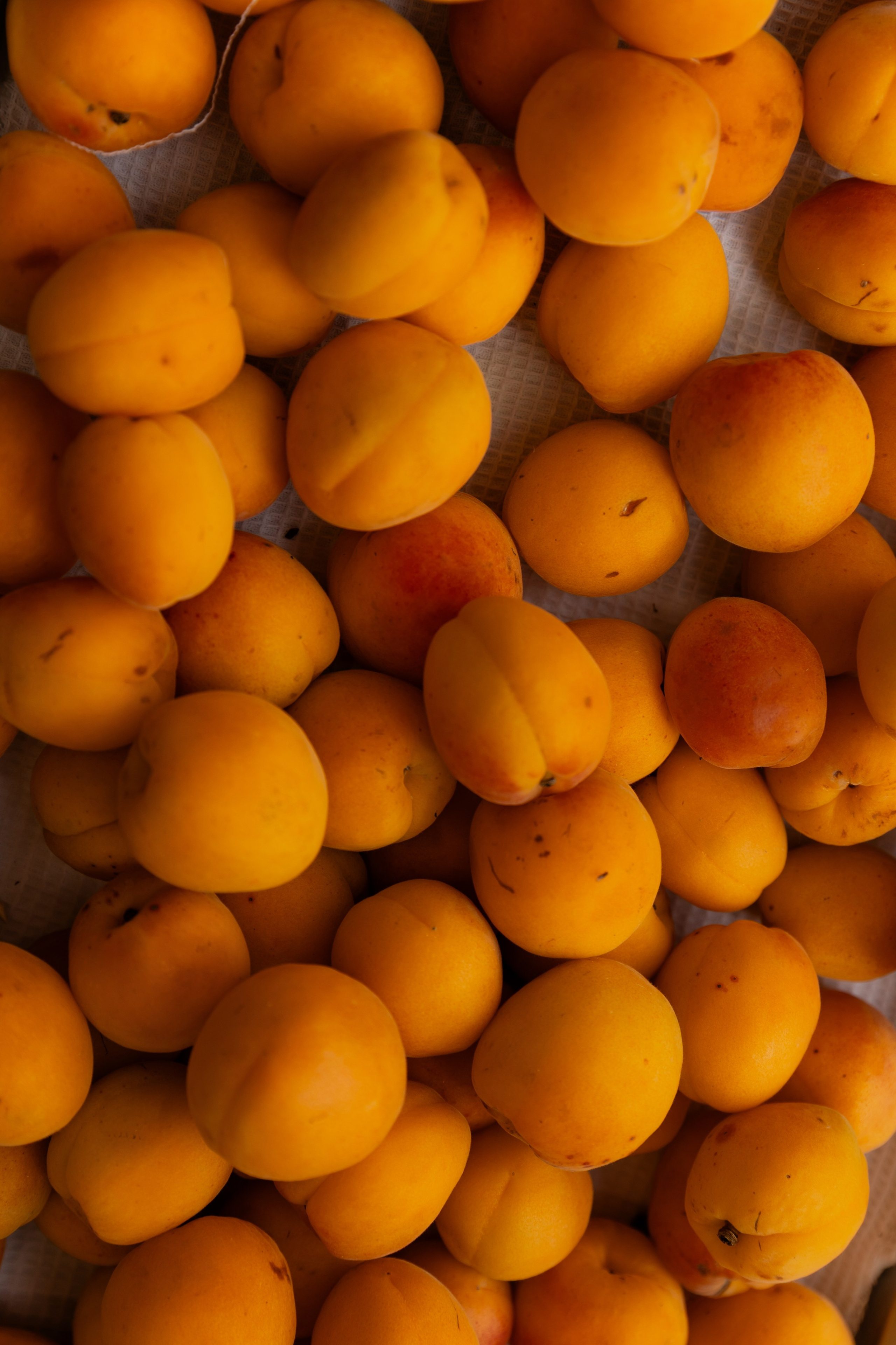 Anna & Alex film/digital Dwor Staiki. Свадебный фотограф Кристина Винокурова