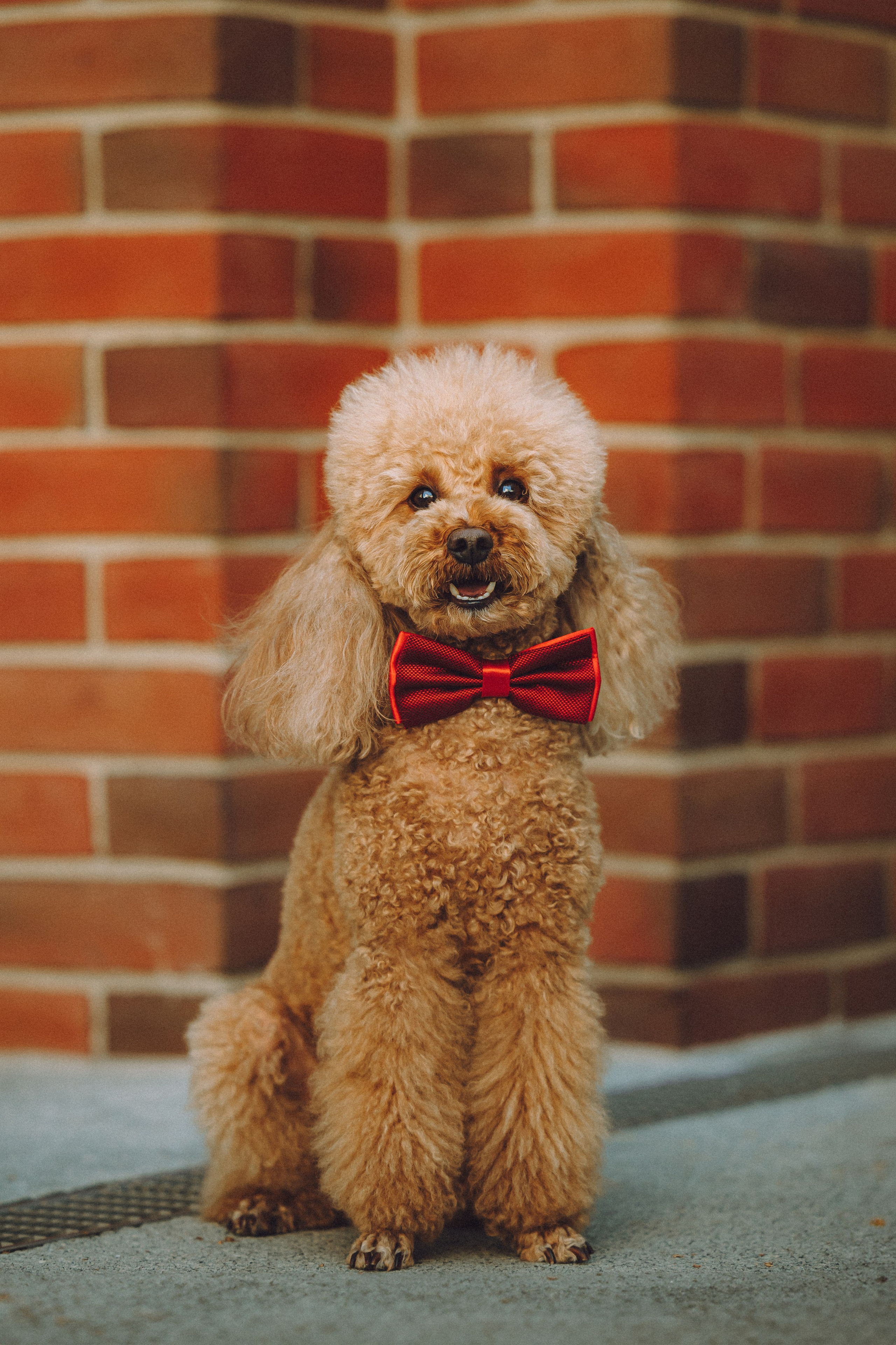 Марина и Филя