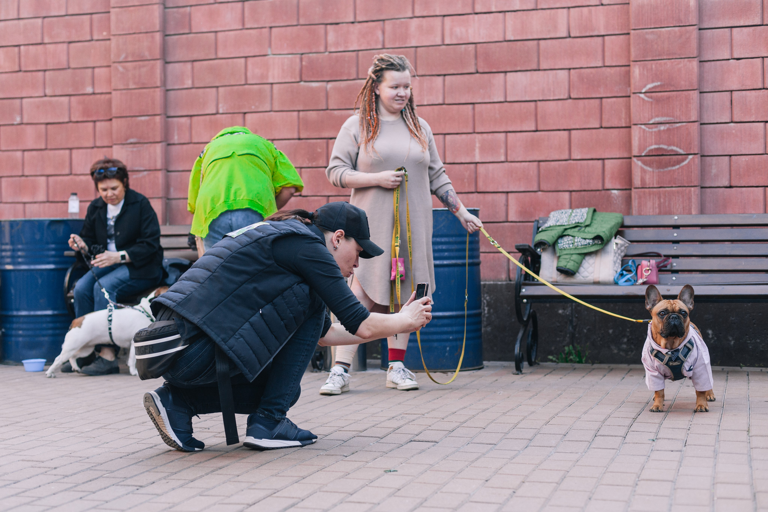 Бульбалл 23.04.2023. Фотограф-анималист Татьяна Степанова