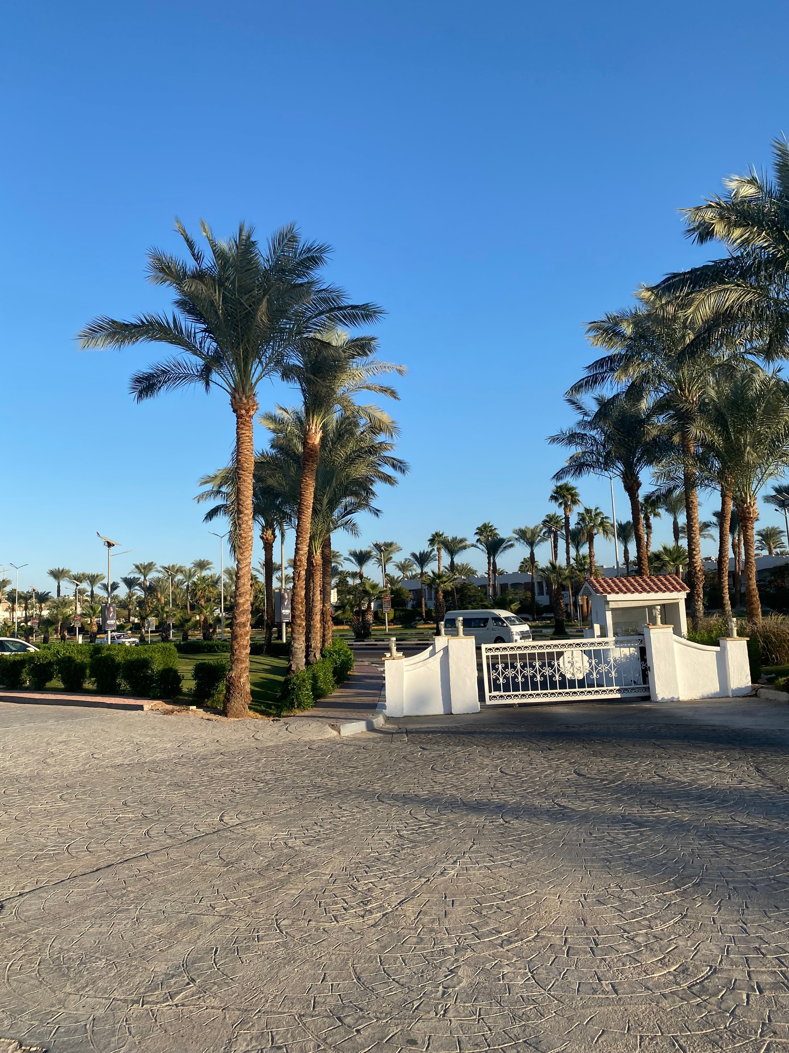 Египет — 21. Своя Мастерская