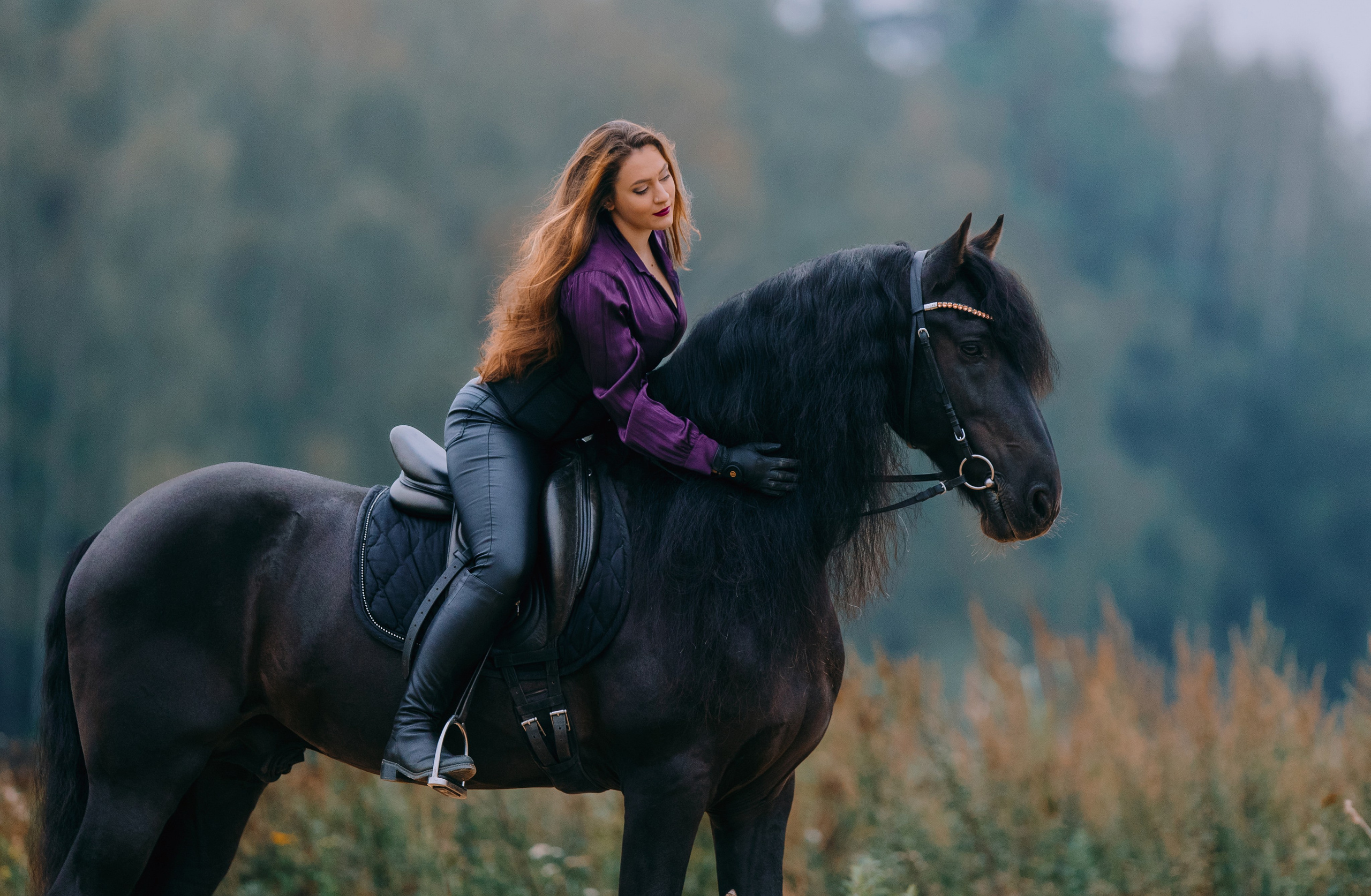 Маша и Брабус. Фотограф-анималист Ксендзова Кристина