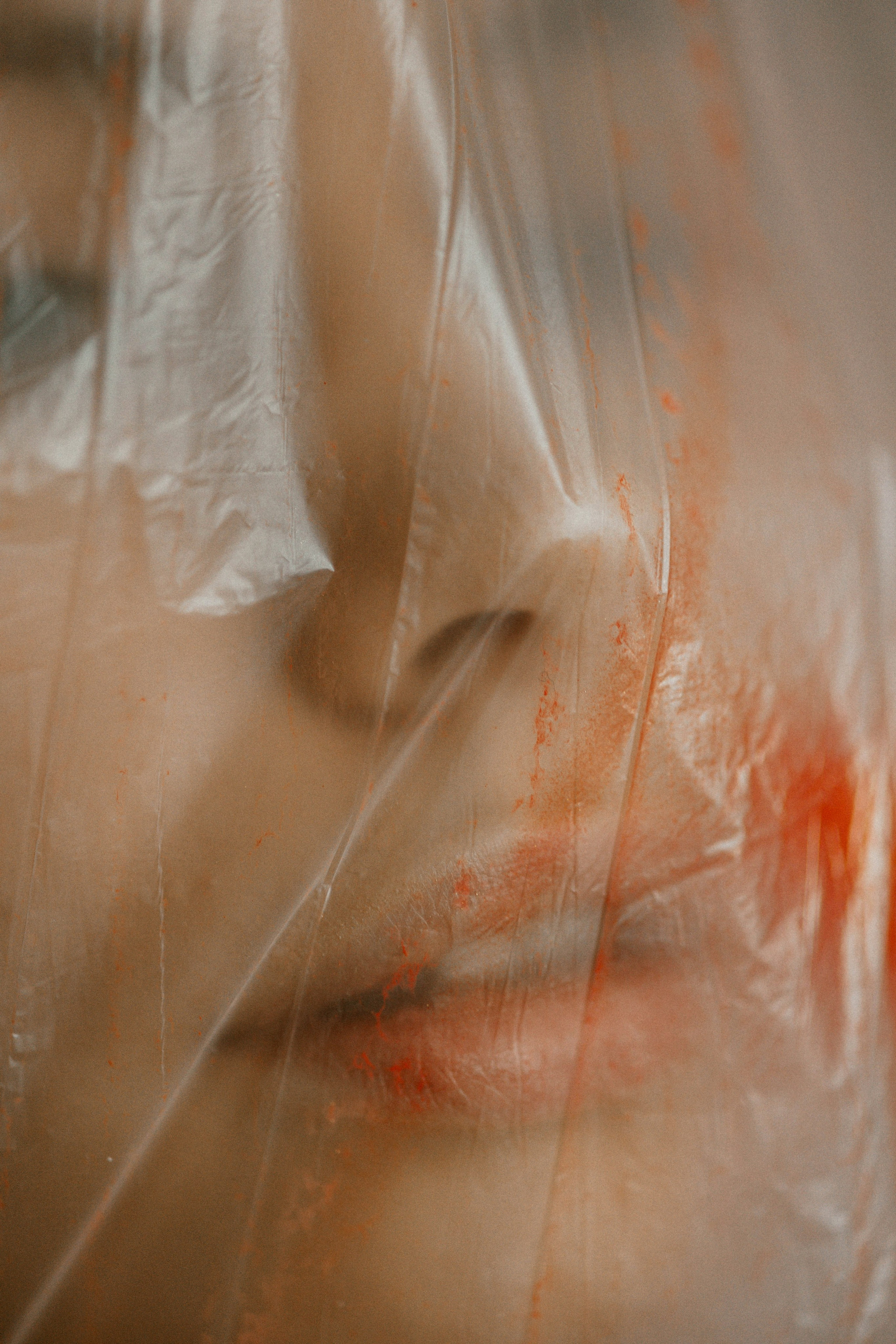 Лилия. Фотограф Жанна Лефлер