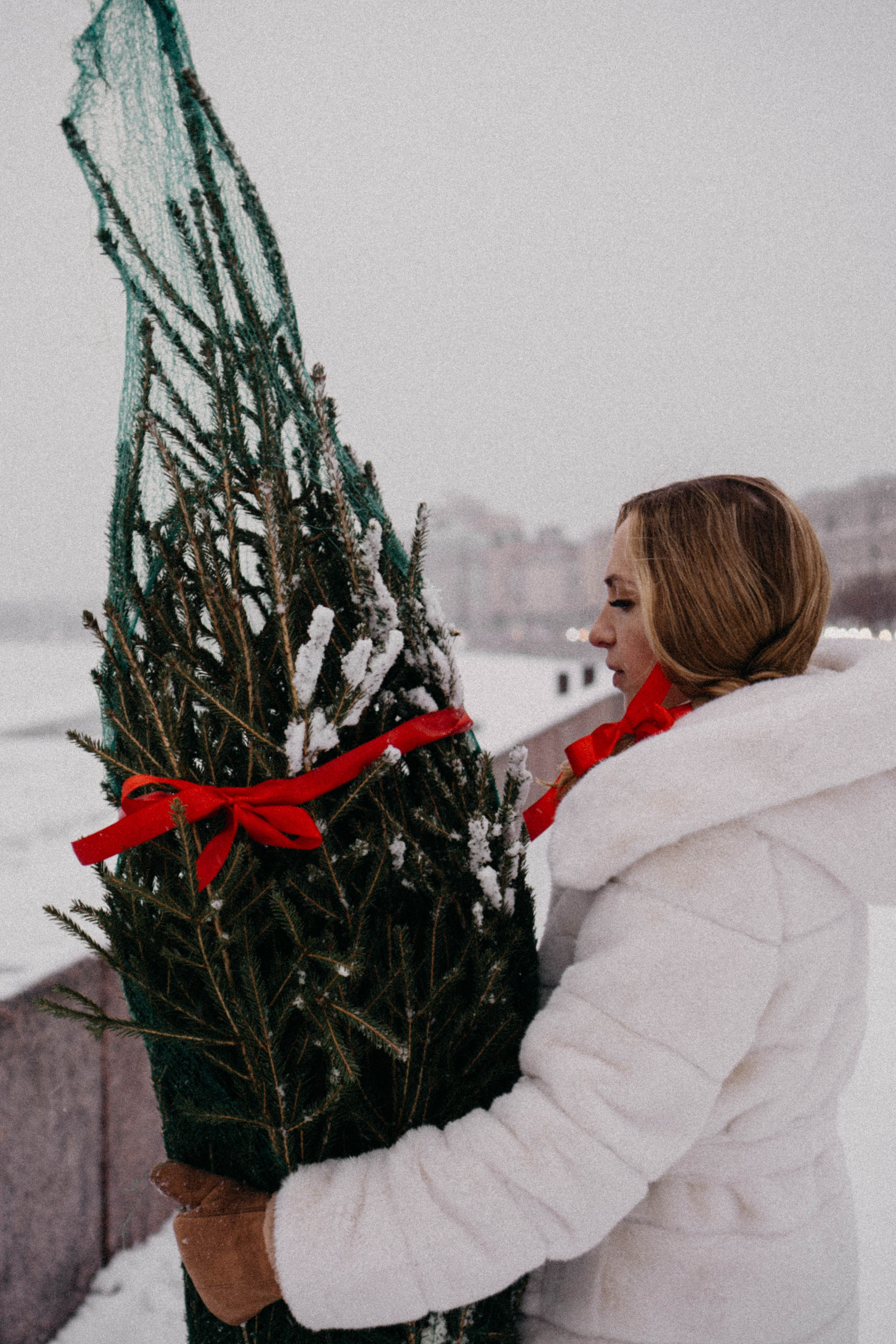 Новогодняя. Профессиональный фотограф, Санкт-Петербург — Виктория Богомолова