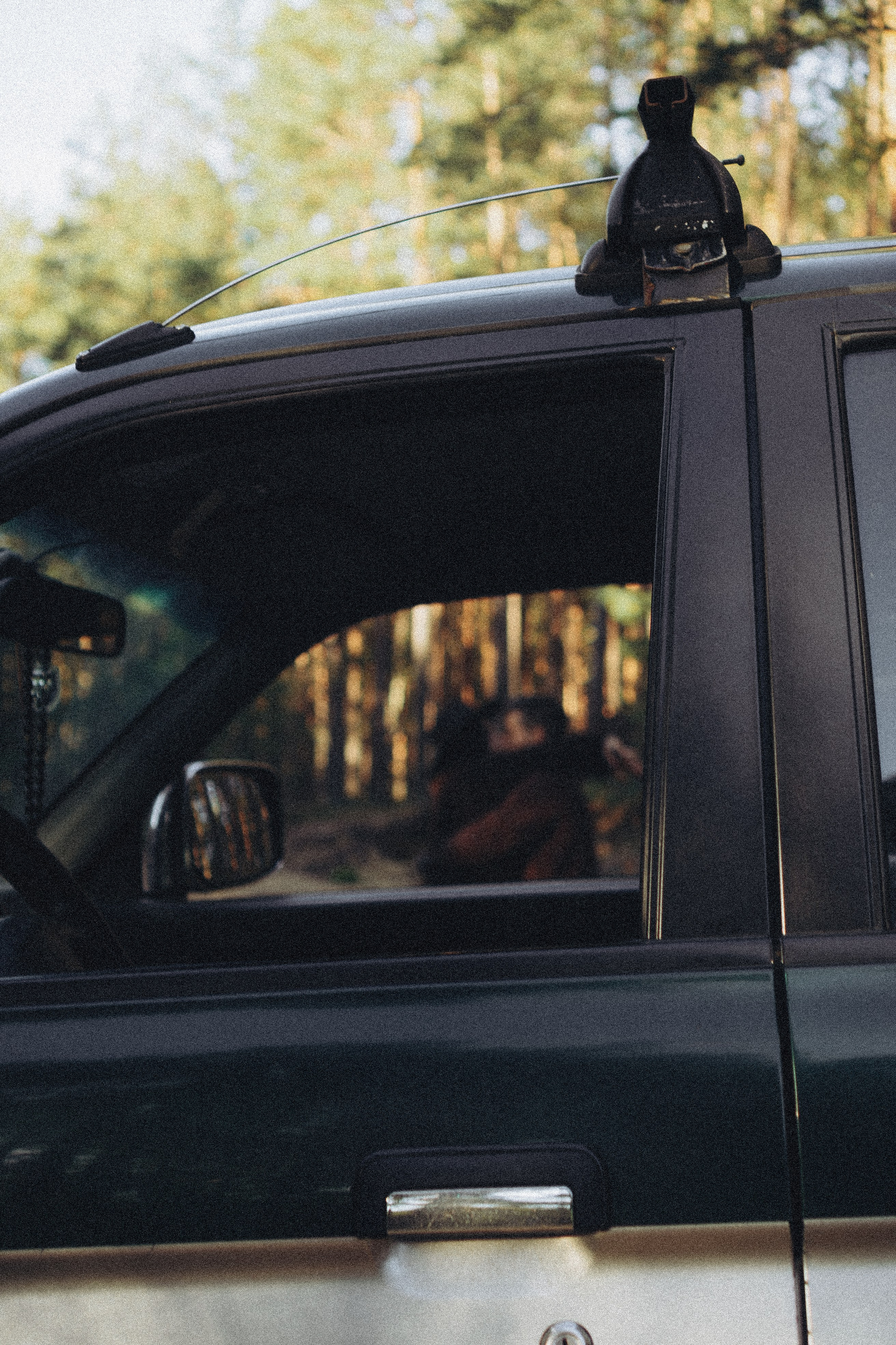 Прогулка по Финскому заливу. Профессиональный фотограф, Санкт-Петербург — Виктория Богомолова