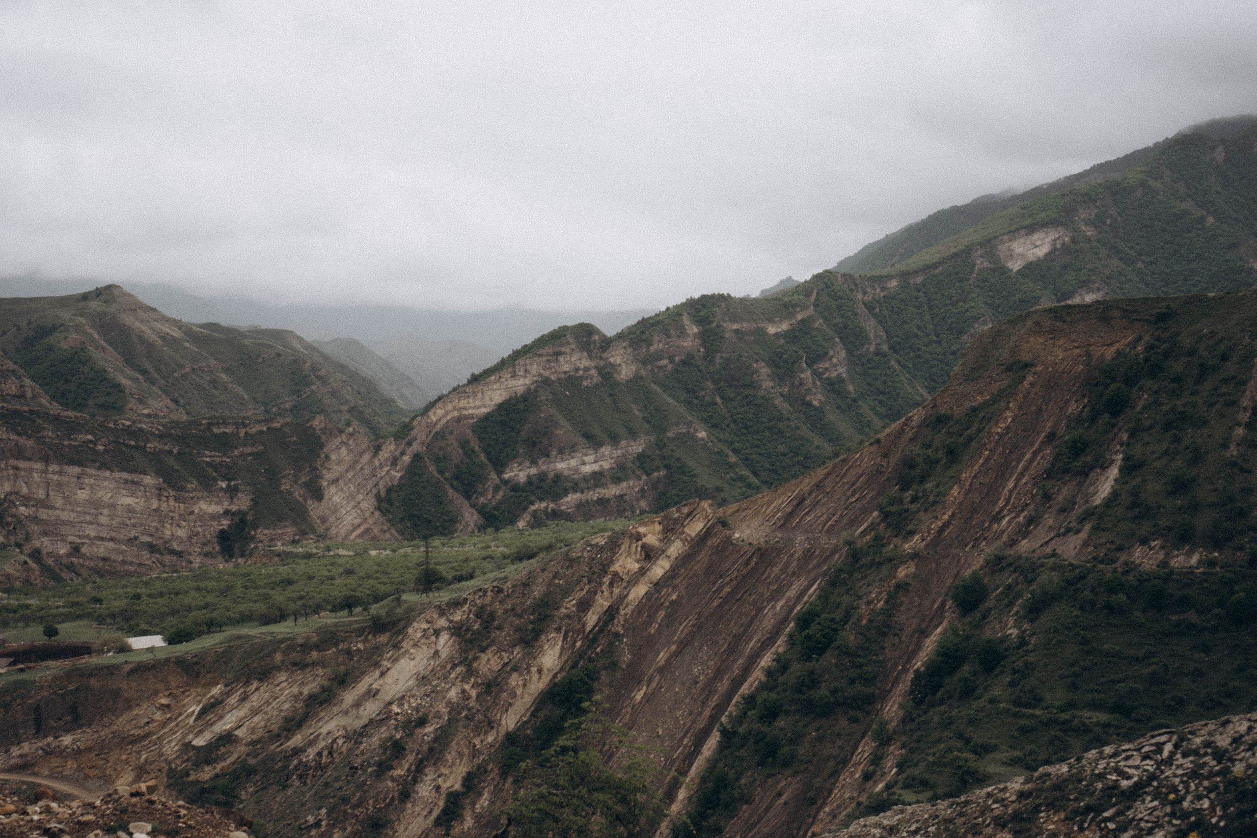 Кавказ. Профессиональный фотограф, Санкт-Петербург — Виктория Богомолова