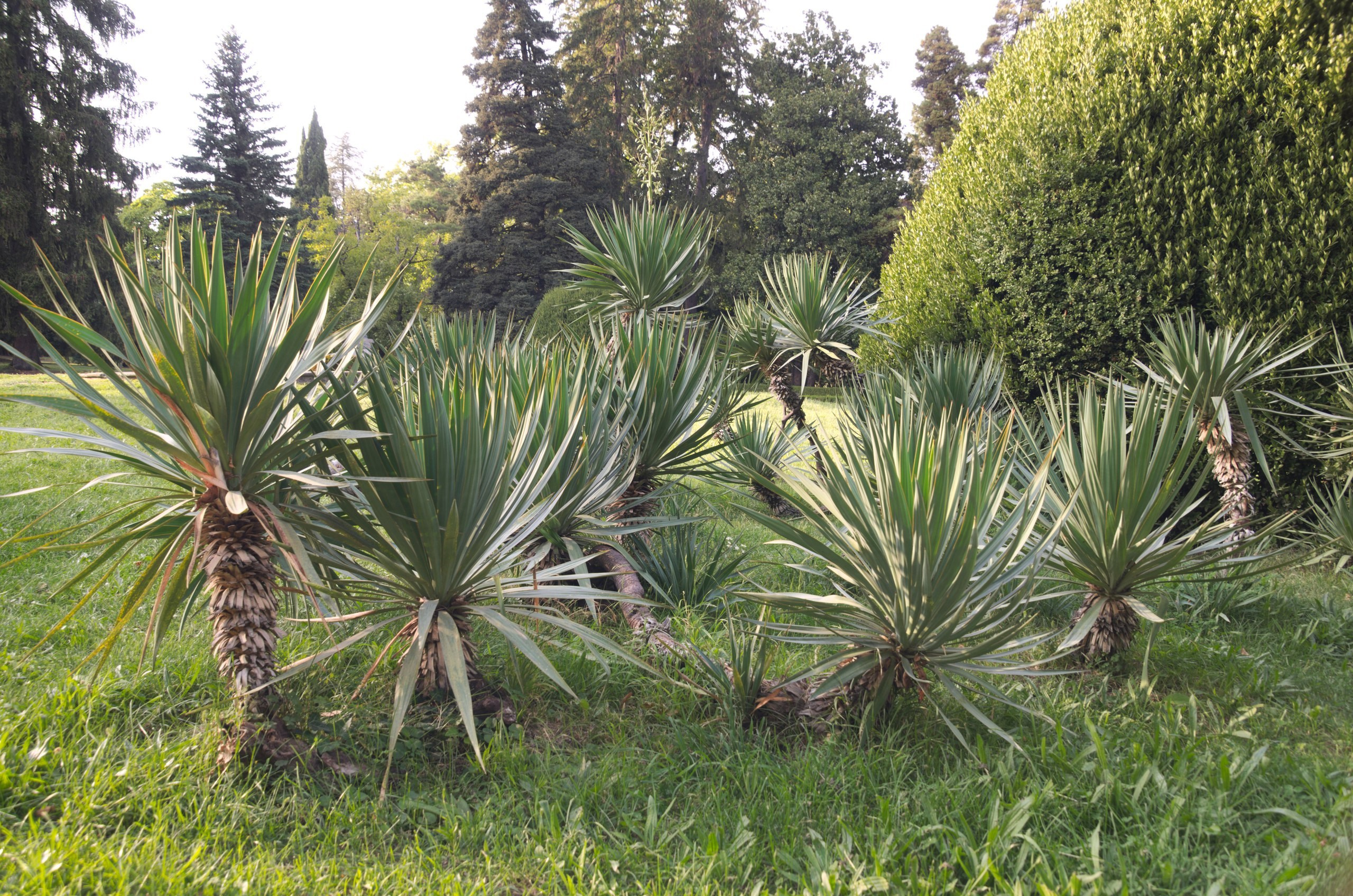 Грузия | 22-25.09.2017. Галерея Фантим