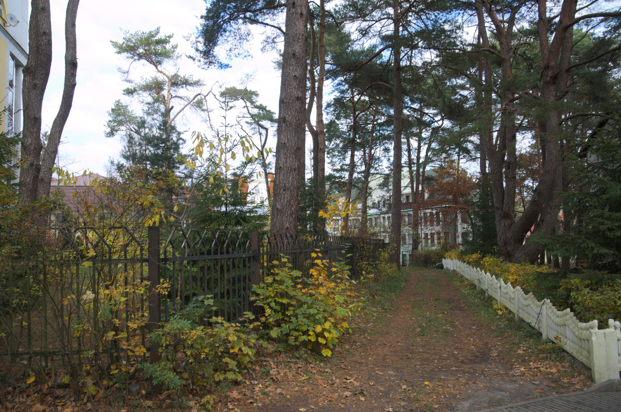 Калининград | 03-05.11.2018. Галерея Фантим