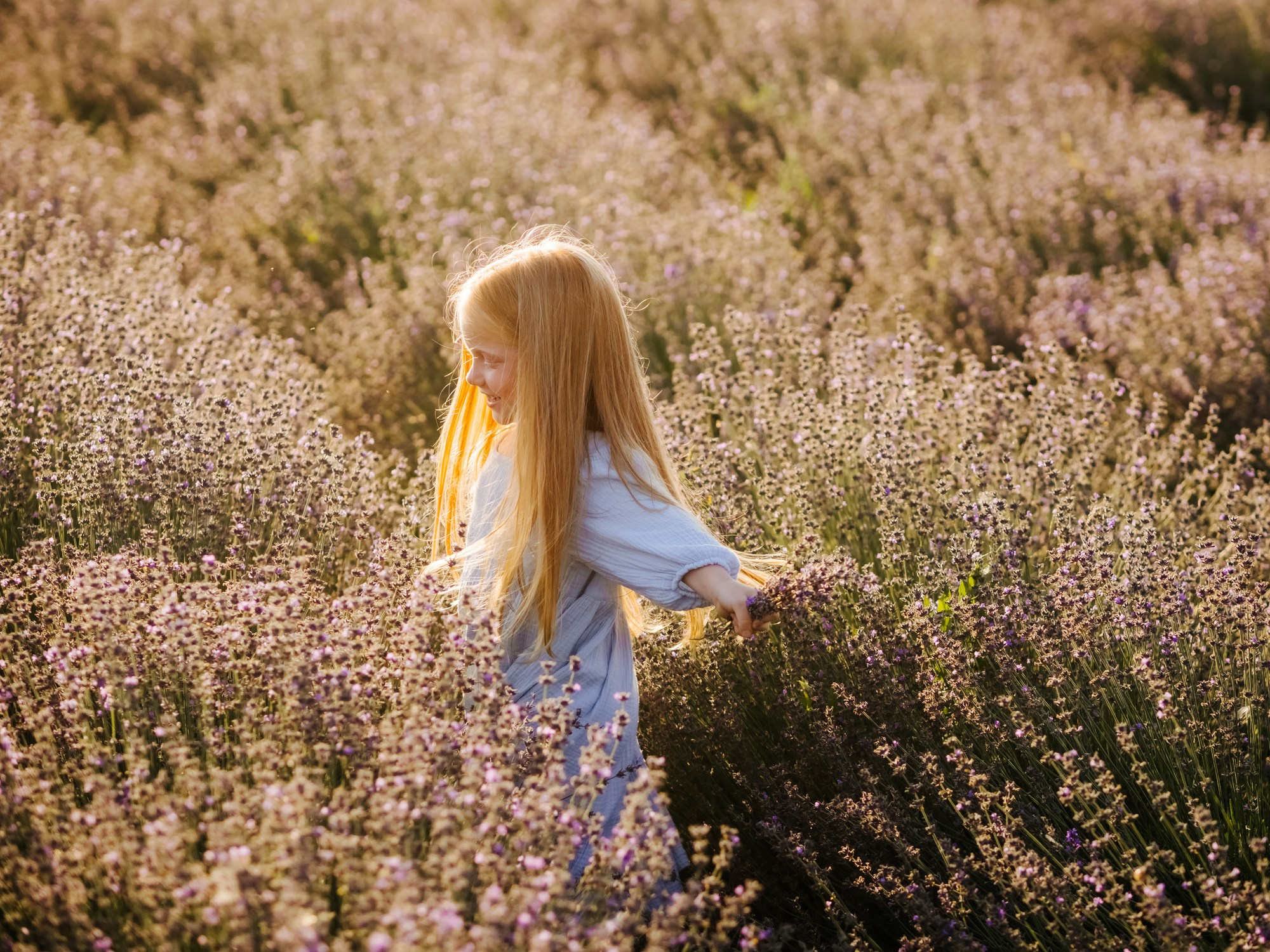 Лаванда. Семейный, детский, свадебный, фотограф в городе Анапа