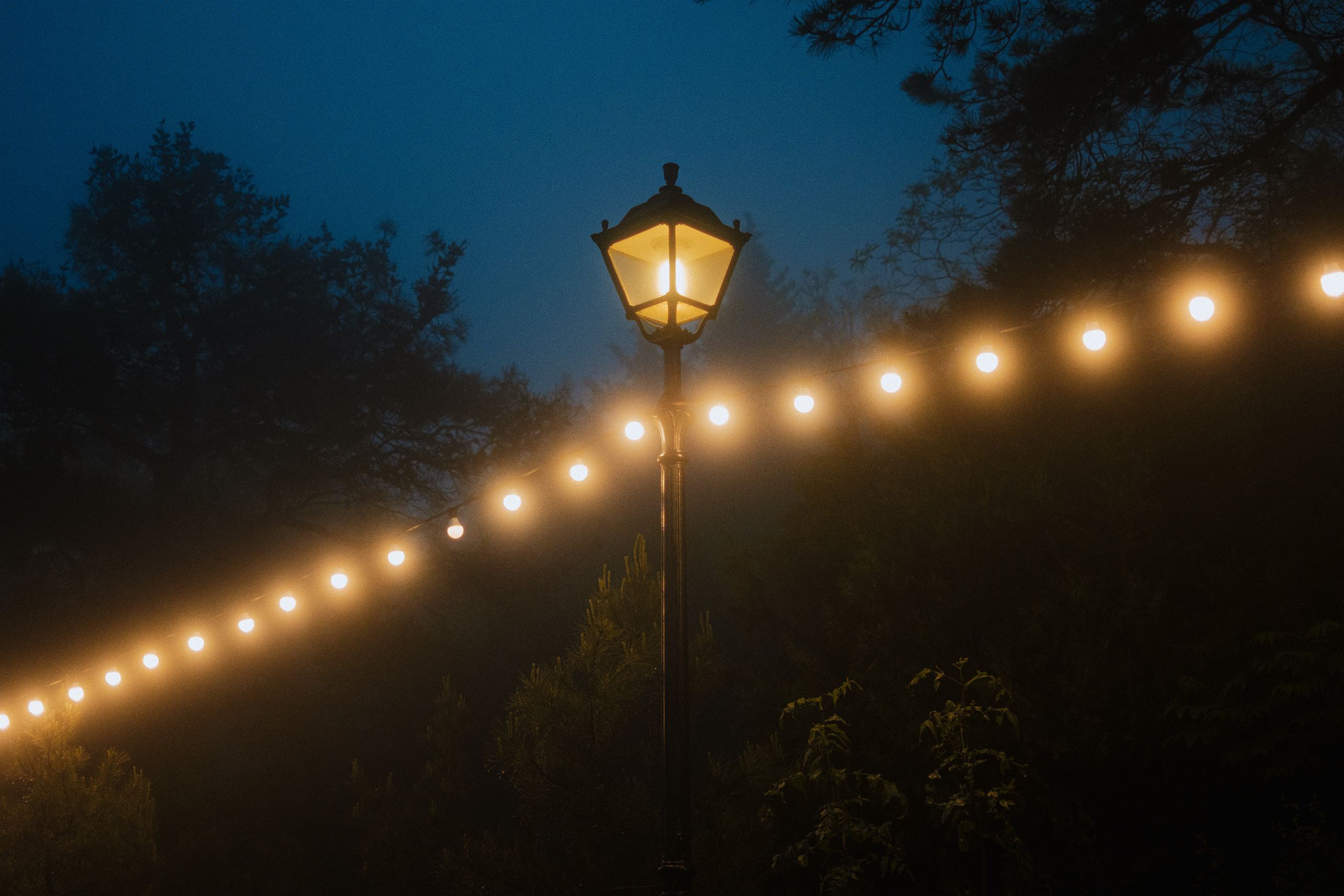 Nebula. Viktor Garshnep Documentary Photographer