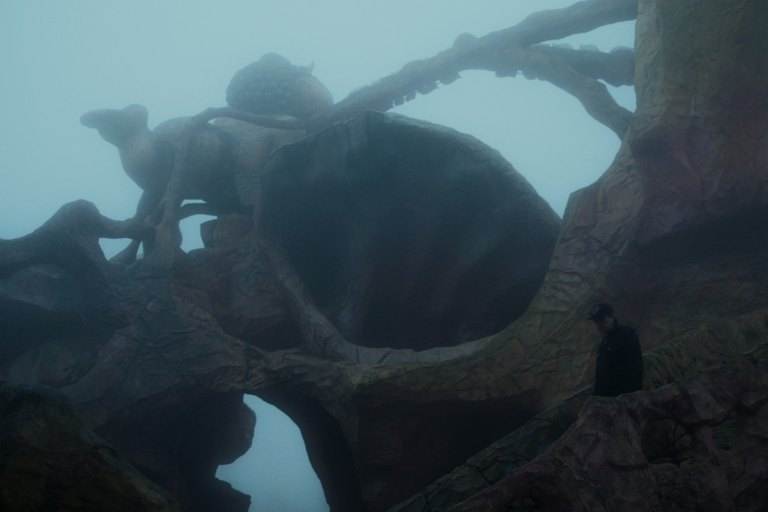 Nebula. Viktor Garshnep Documentary Photographer