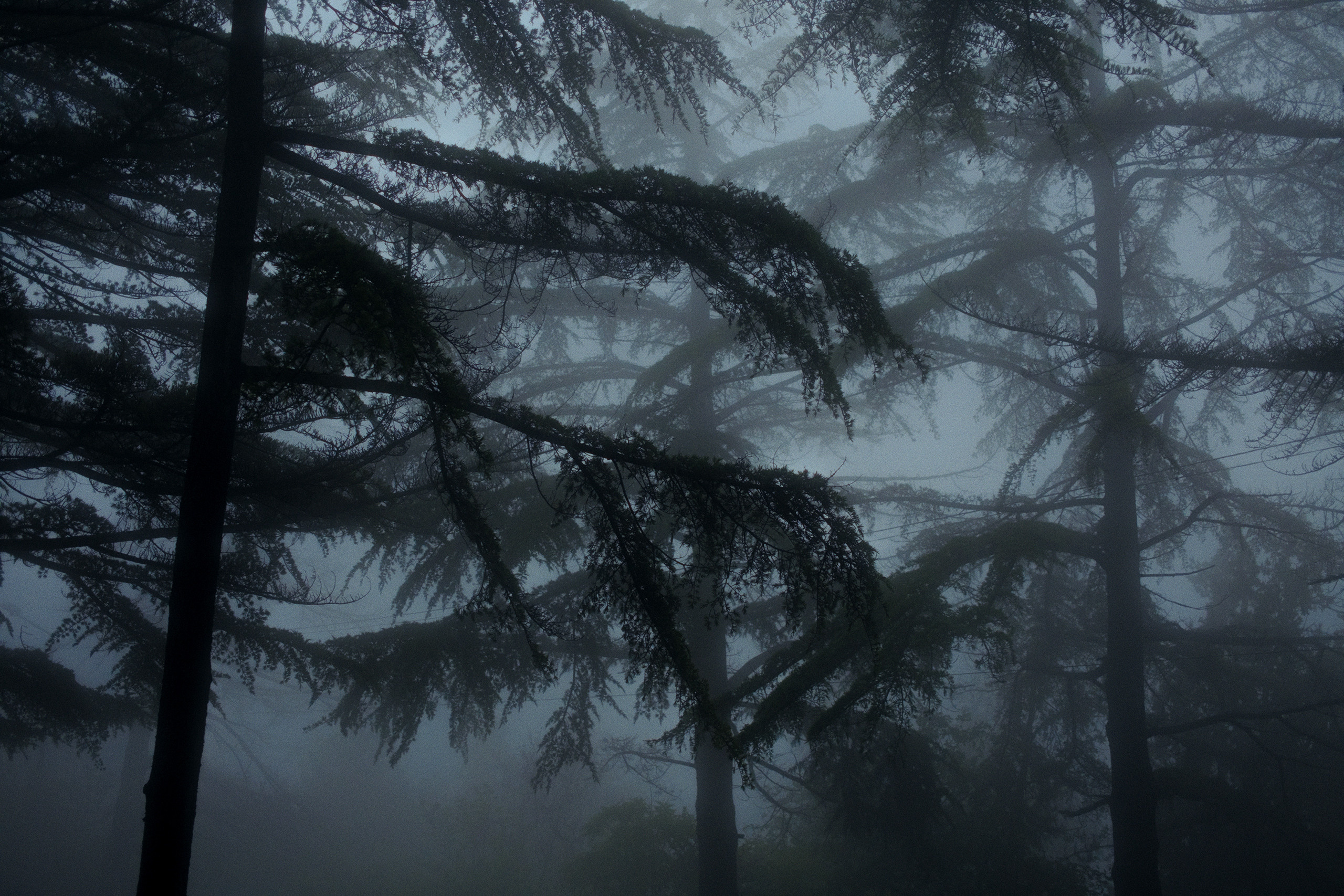 Nebula. Viktor Garshnep Documentary Photographer