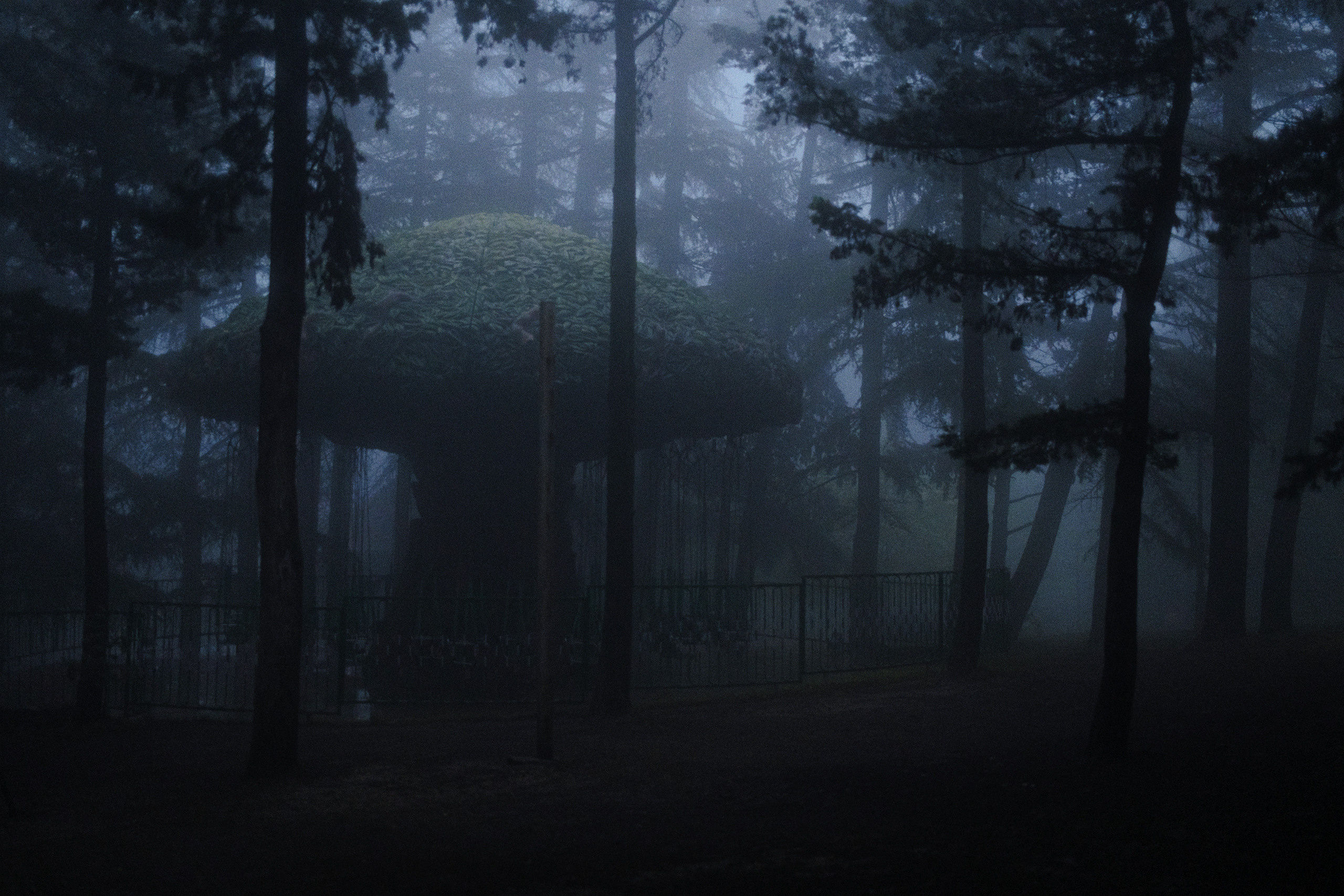 Nebula. Viktor Garshnep Documentary Photographer