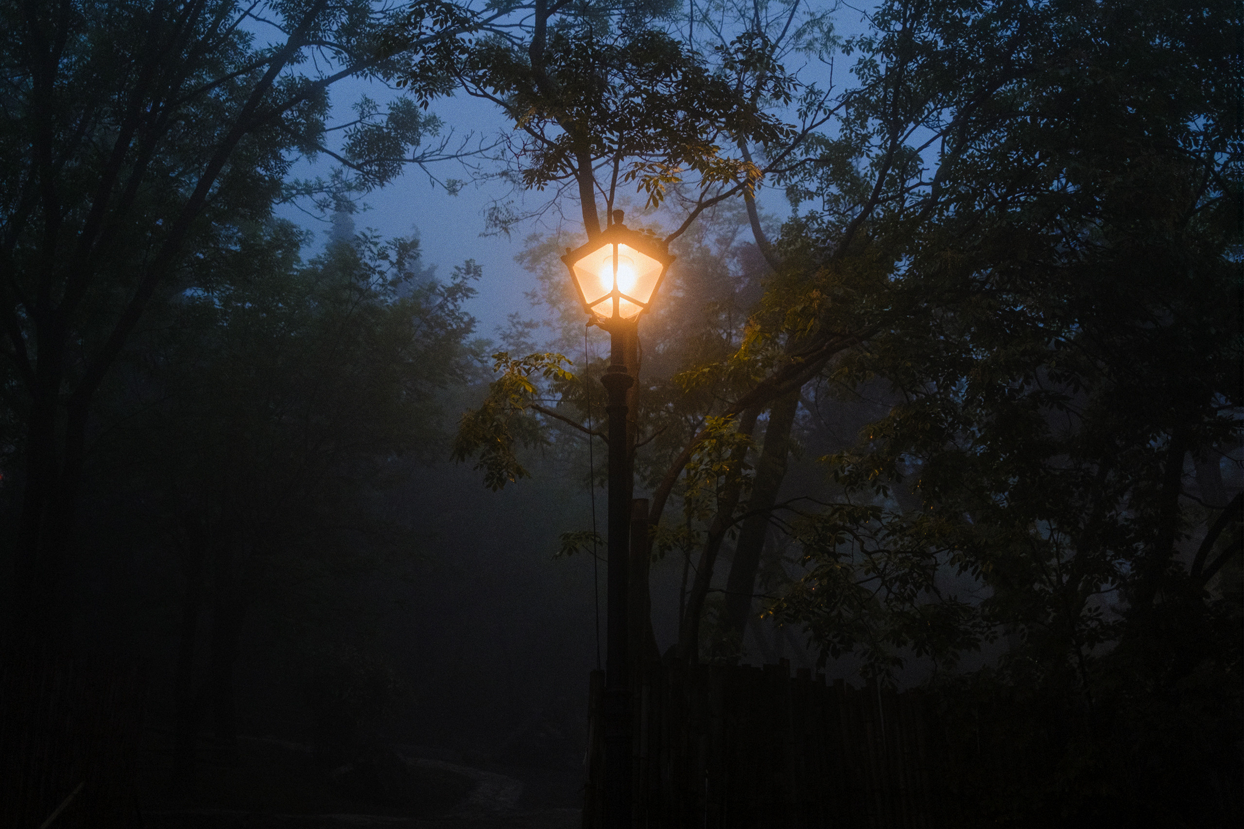 Nebula. Viktor Garshnep Documentary Photographer