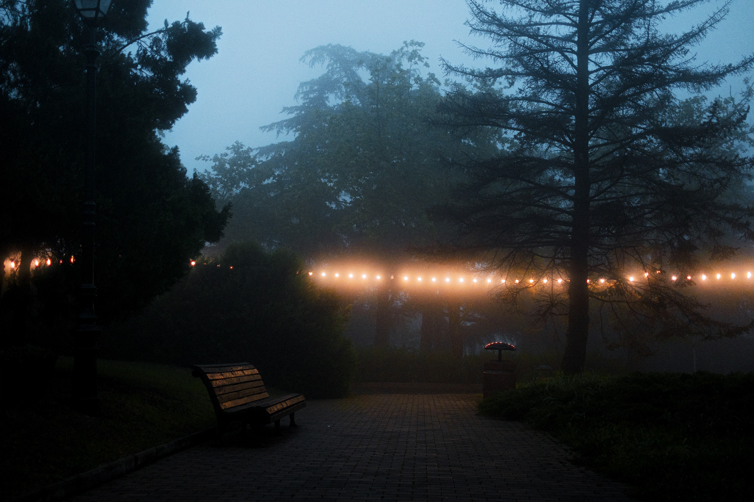 Nebula. Viktor Garshnep Documentary Photographer