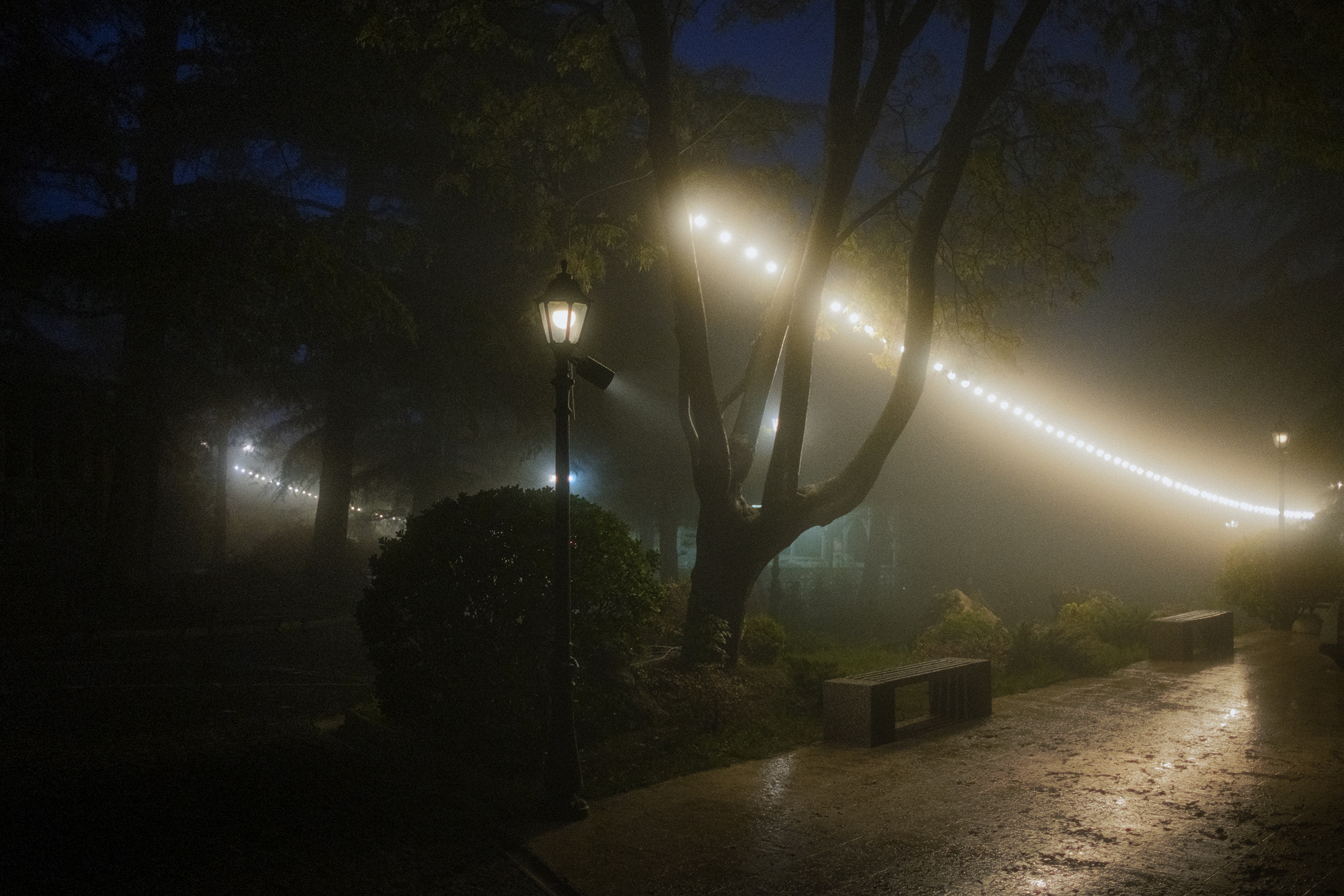 Nebula. Viktor Garshnep Documentary Photographer