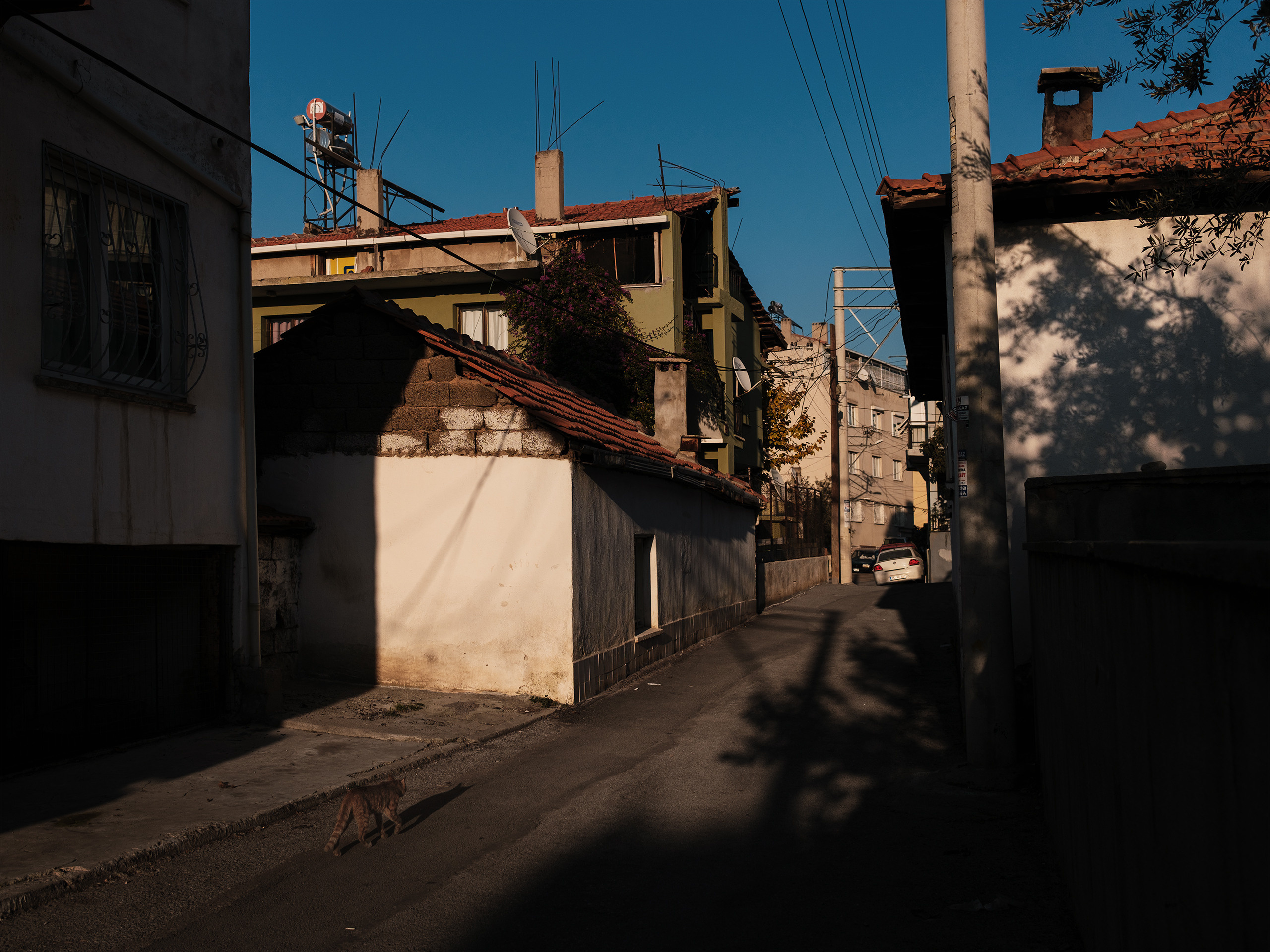 Izmir. Viktor Garshnep Documentary Photographer