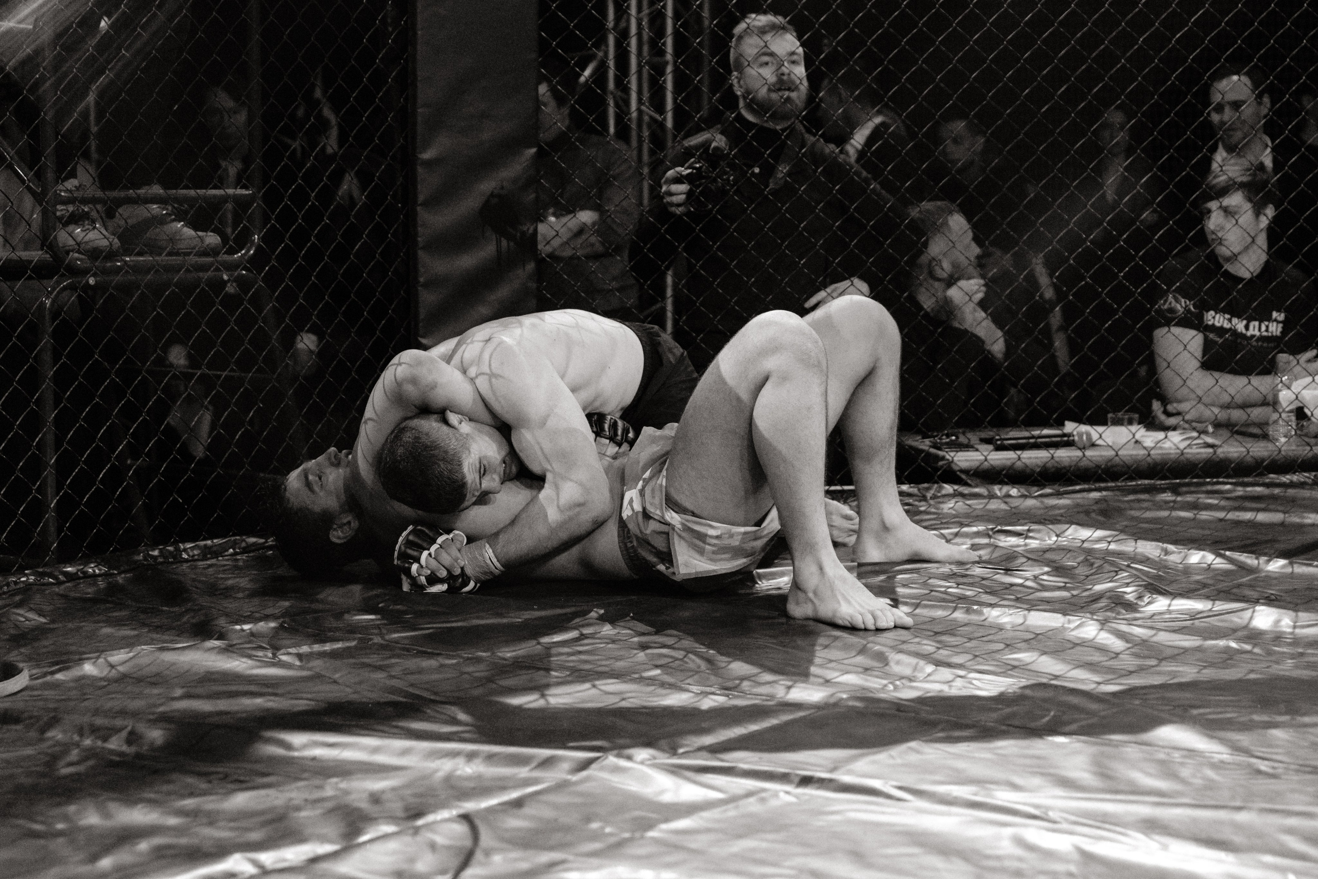 Турнир по ММА «Освобождение» 2023 г. Истра. Свадебный фотограф Фадеева Алёна