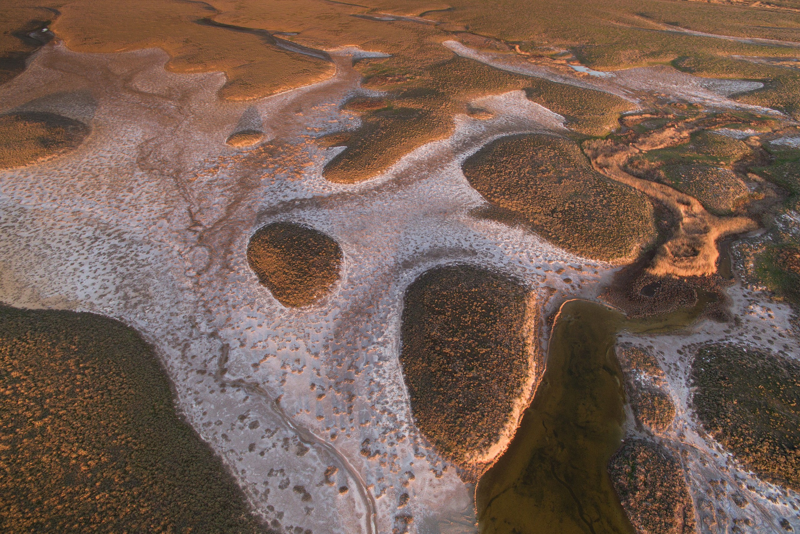 Озеро Эльтон. Фотограф Владимир Медведев