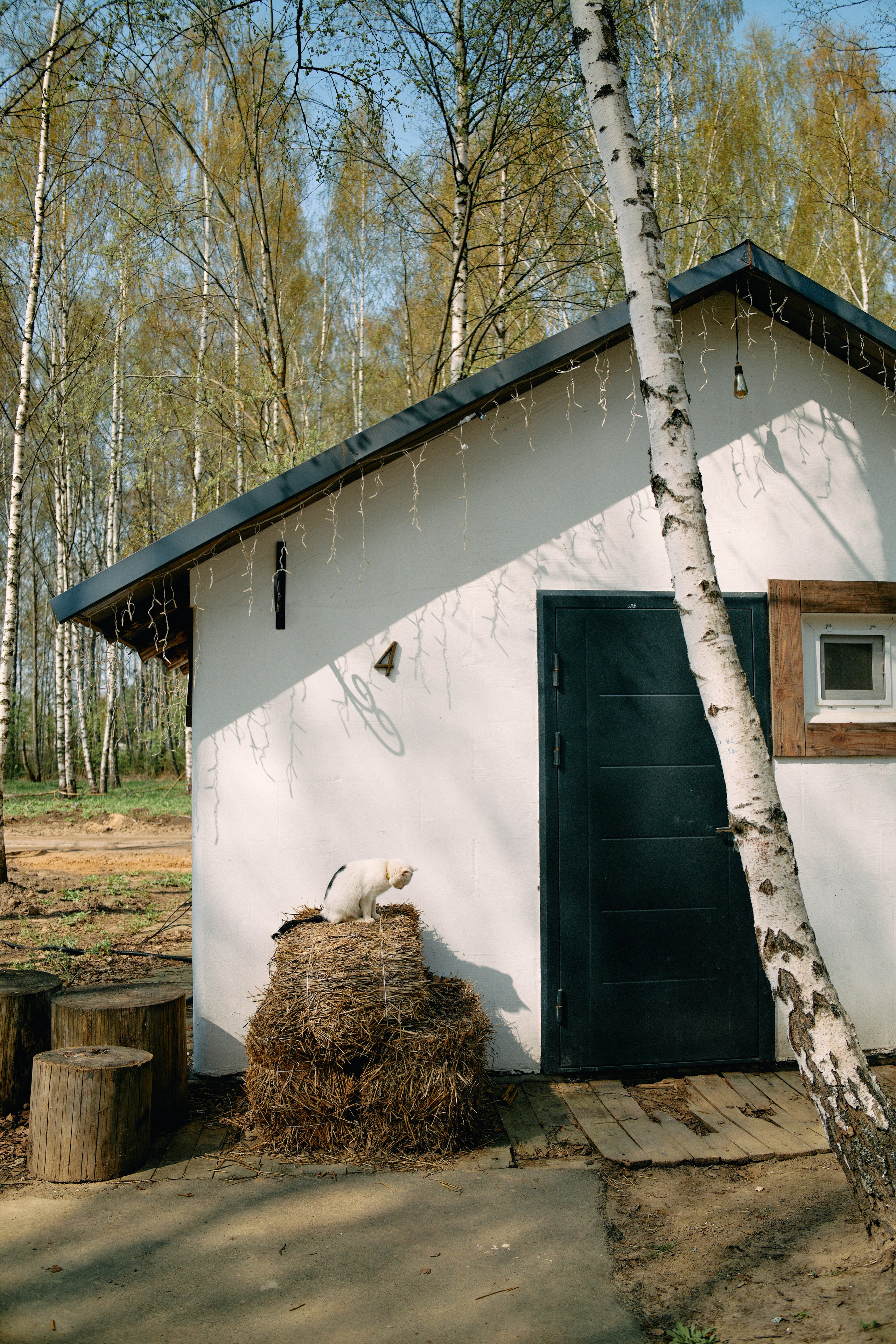 Бутик-отель Поле летом. Профессиональный Фотограф во Владимире, в Москве и в Суздале — Полина Романычева