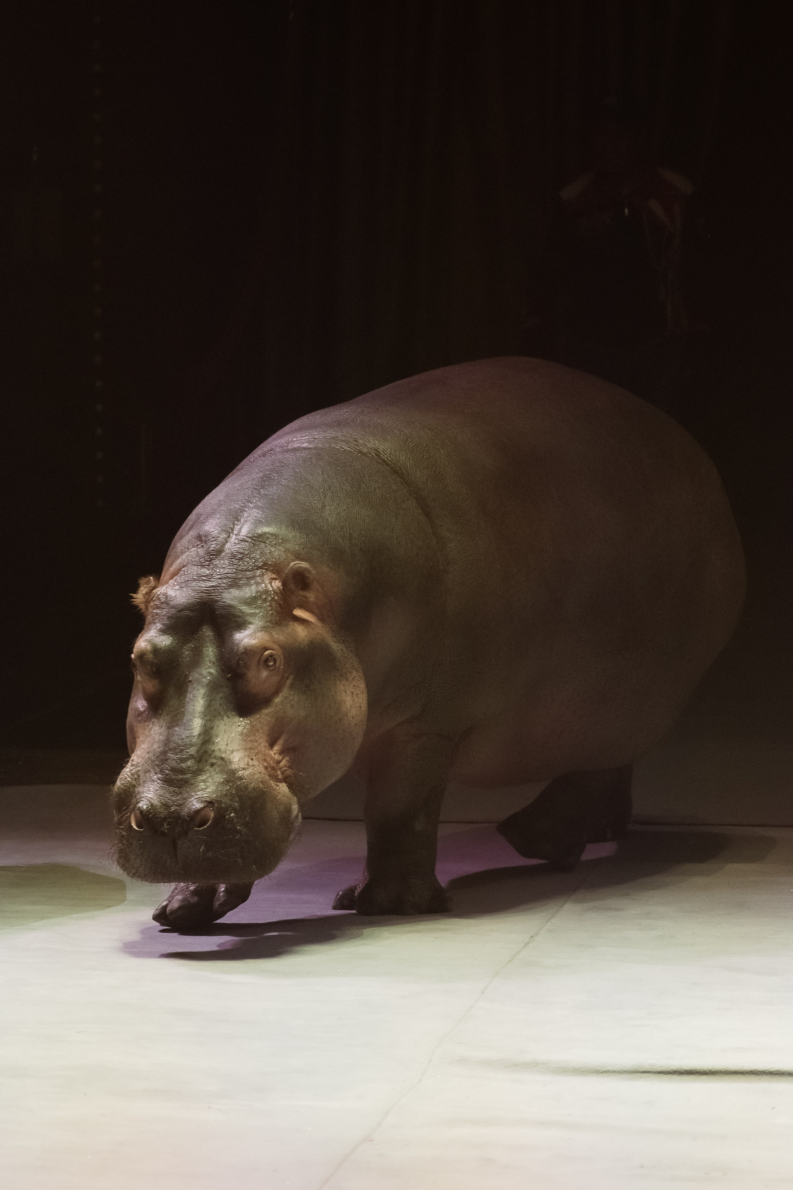 Репортаж. Фотограф Новосибирск Анна Рождественская