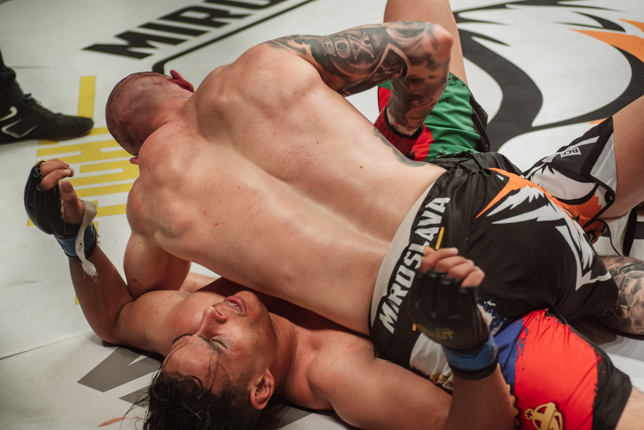 Miroslava Fight