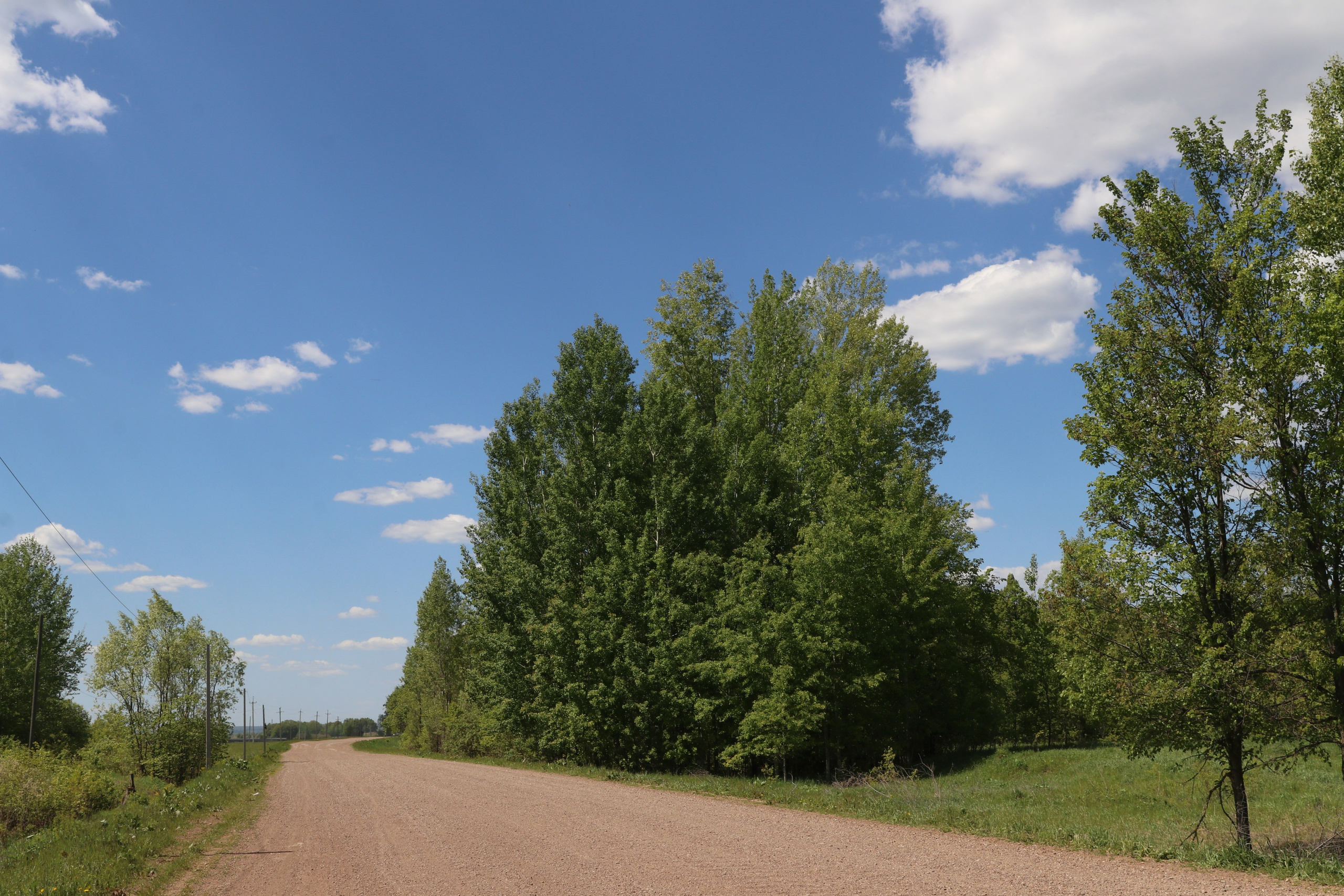 Велопоход Уфа — Мелеуз. Май 2024. Путешественник-фотограф из Санкт-Петербурга Татьяна Свистулина