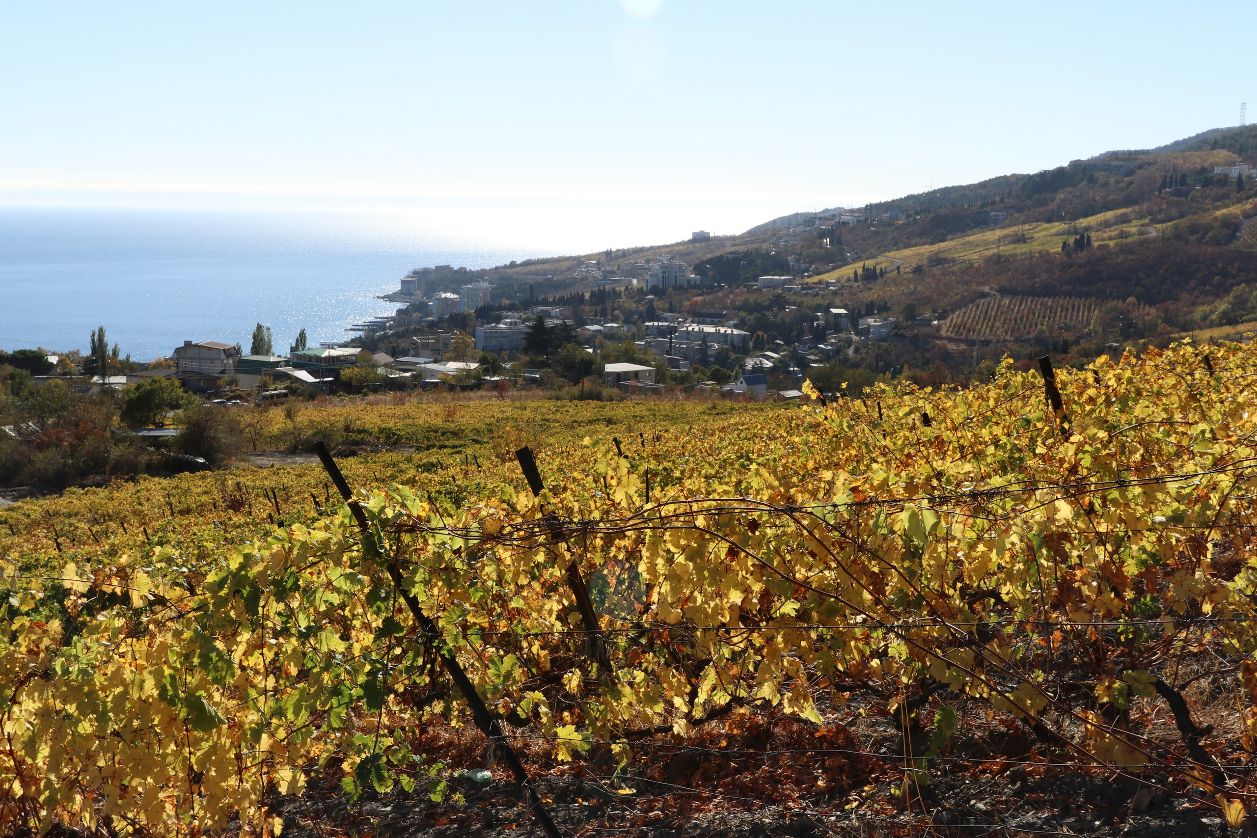 Крым. ЮБК (Гурзуф, Судак и их окрестности). Ноябрь 2023. Путешественник-фотограф из Санкт-Петербурга Татьяна Свистулина