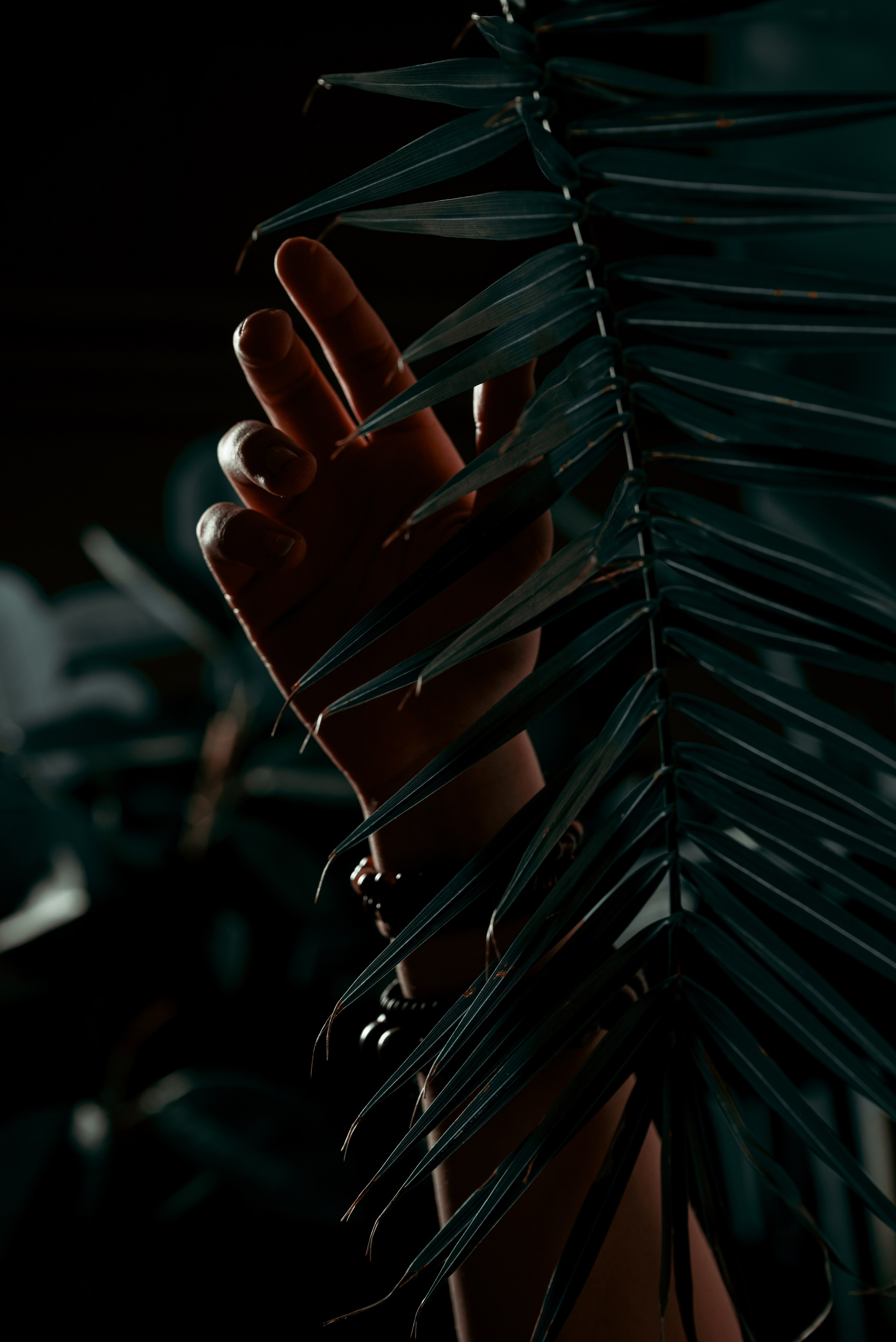 Зеленая студия. Фотограф Дарья Сафонова Dashulkacss