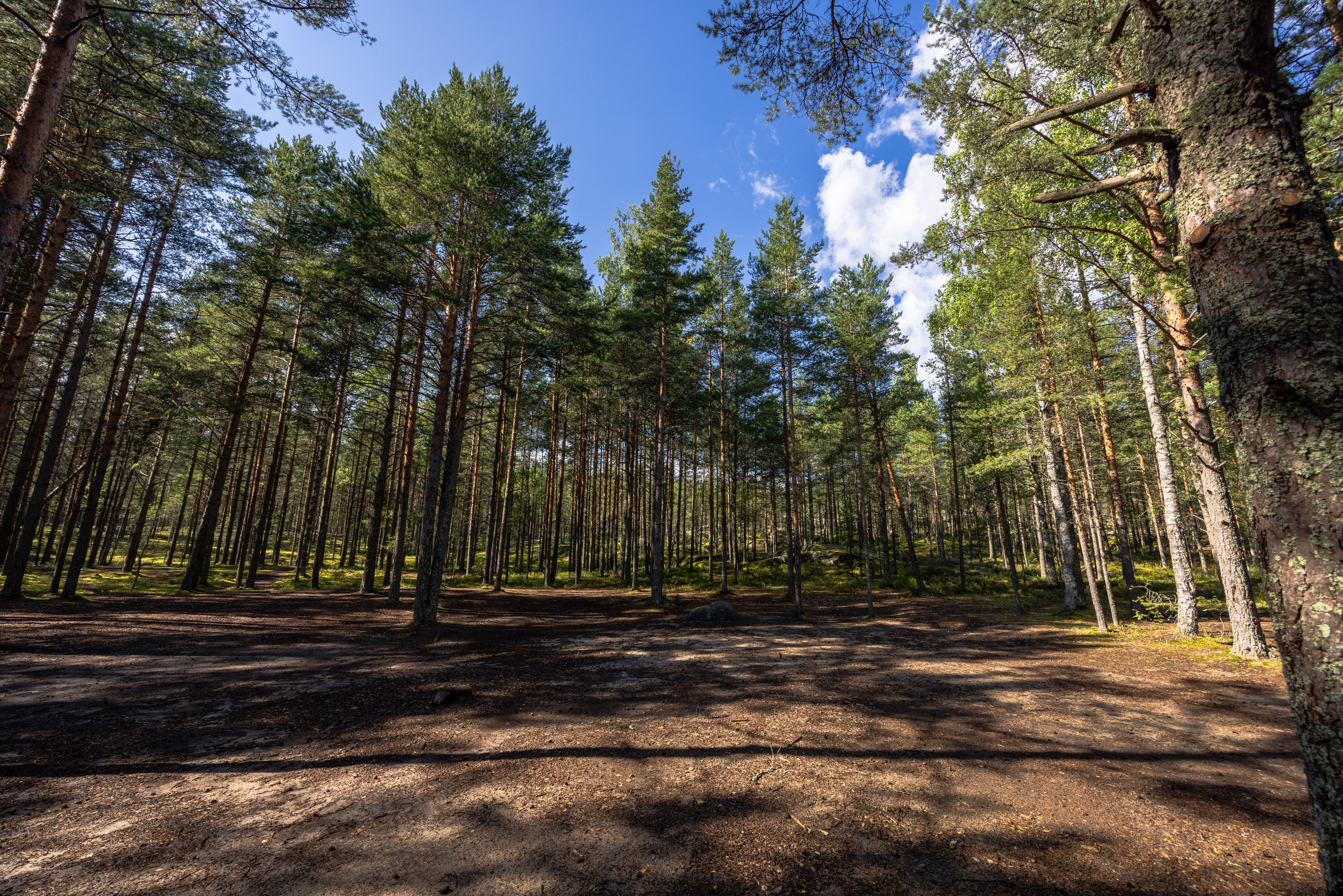 Ладога. Автомобильная фотография в Санкт-Петербурге