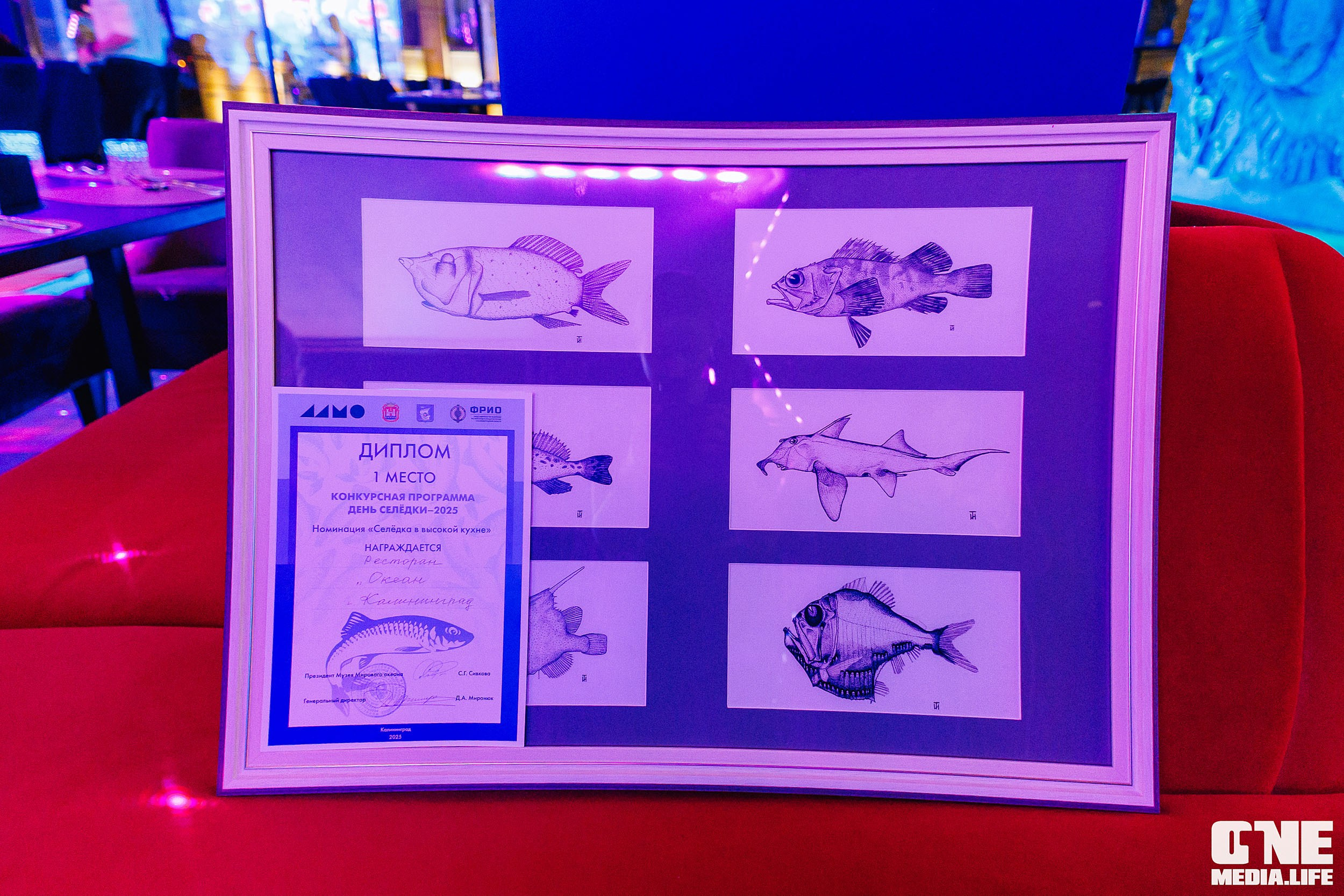 Фоторепортаж из ресторана Океан. One Media Life: фоторепортажи, фотоотчеты с мероприятий и заведений