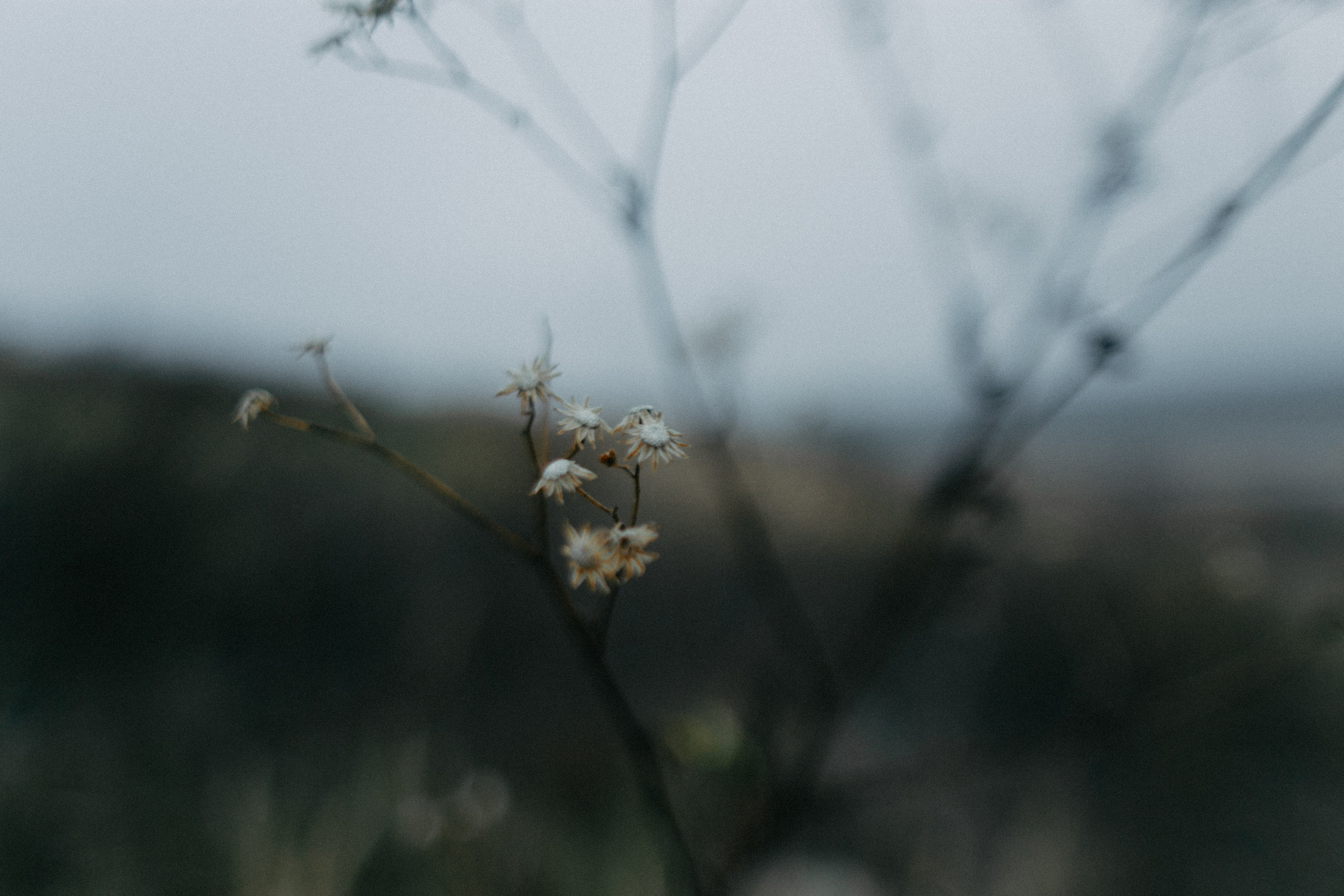 Рита. Семейный фотограф в Белгороде