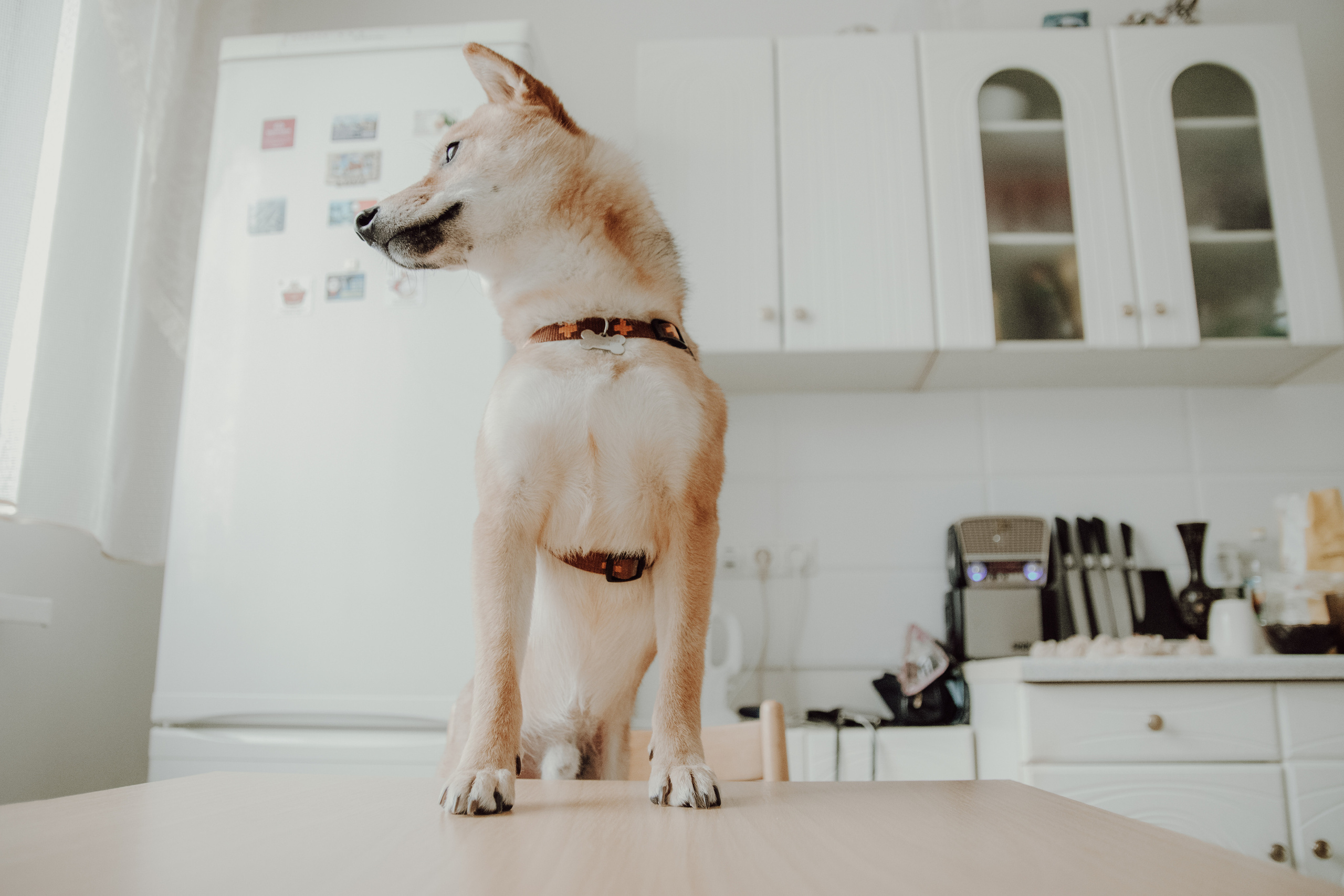 С ароматом благовоний. Семейный фотограф в Москве