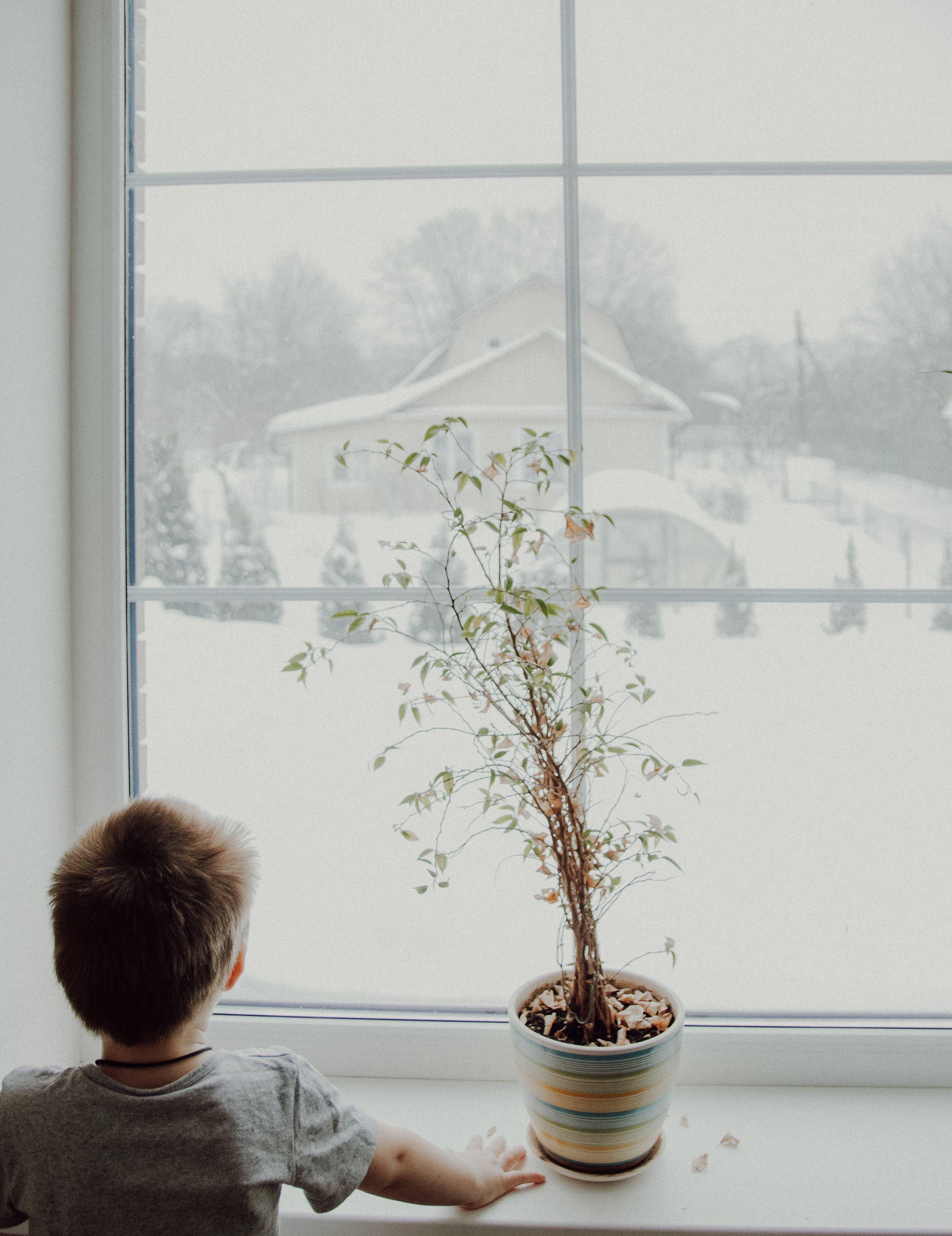 В доме с лестницей. Семейный фотограф в Москве