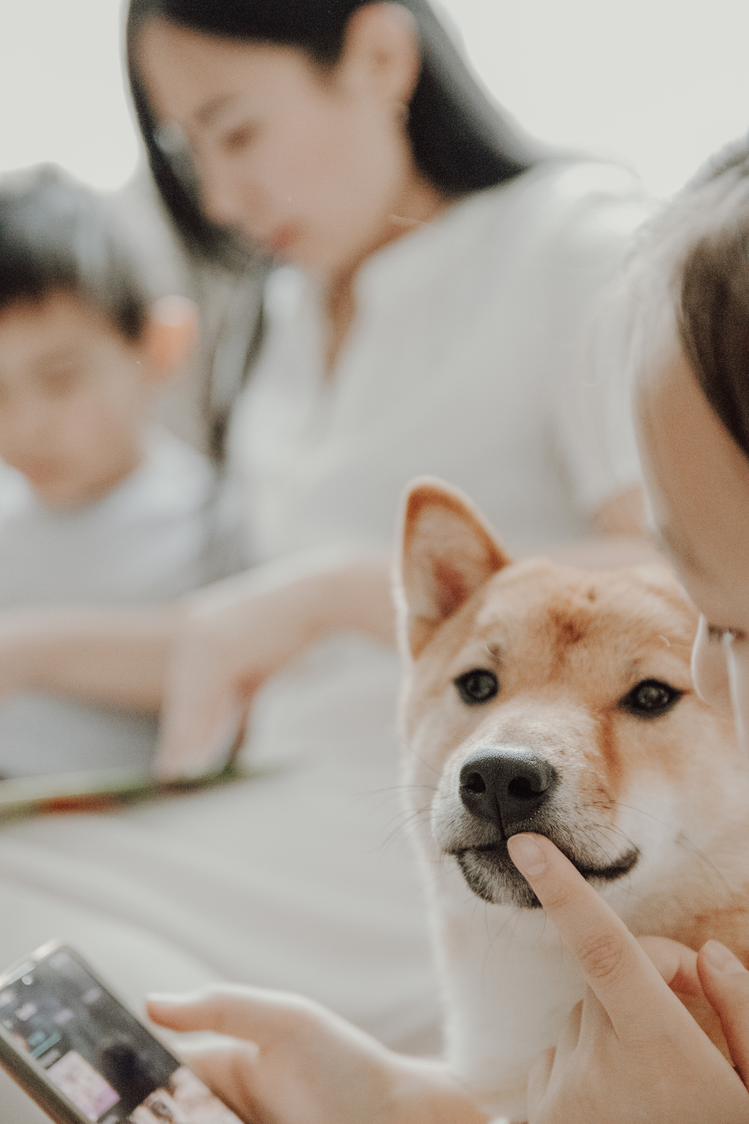 С ароматом благовоний. Семейный фотограф в Москве