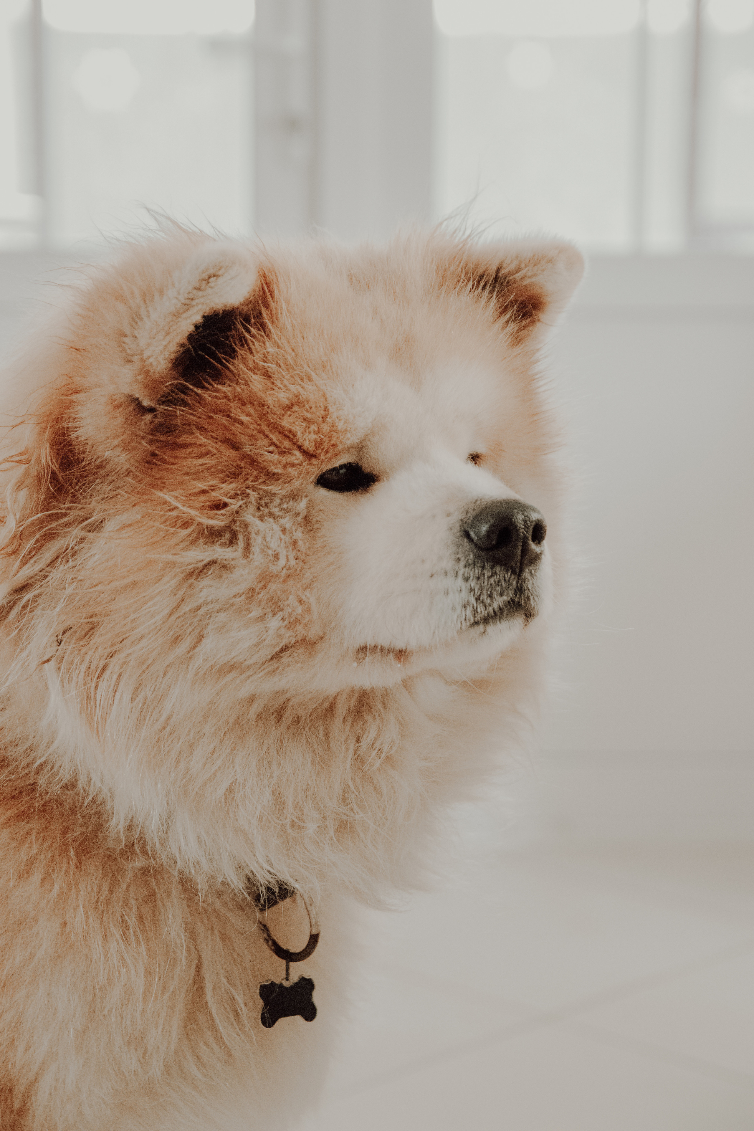 В доме с лестницей. Семейный фотограф в Москве