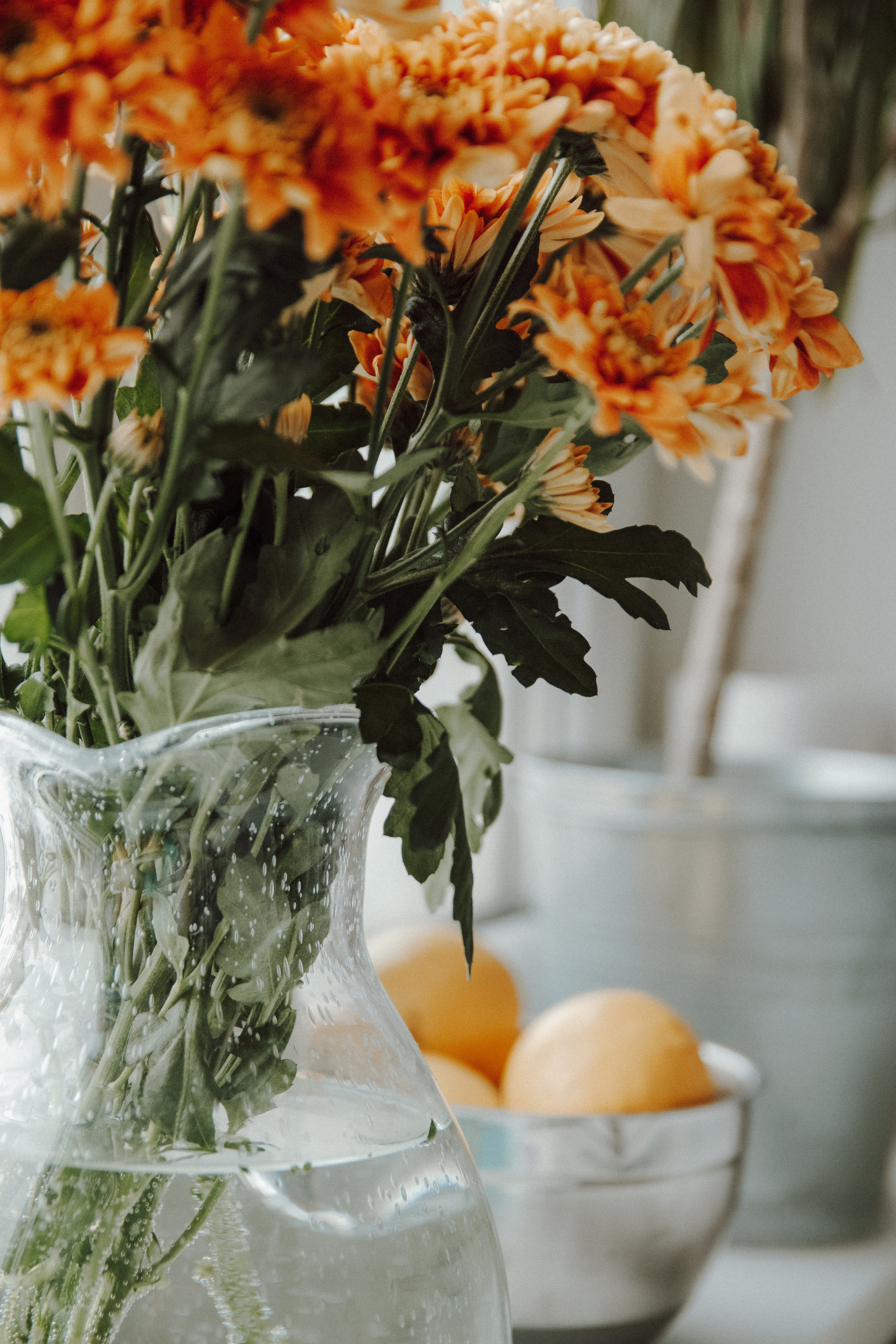 Три сердца и одно пушистое. Семейный фотограф в Москве