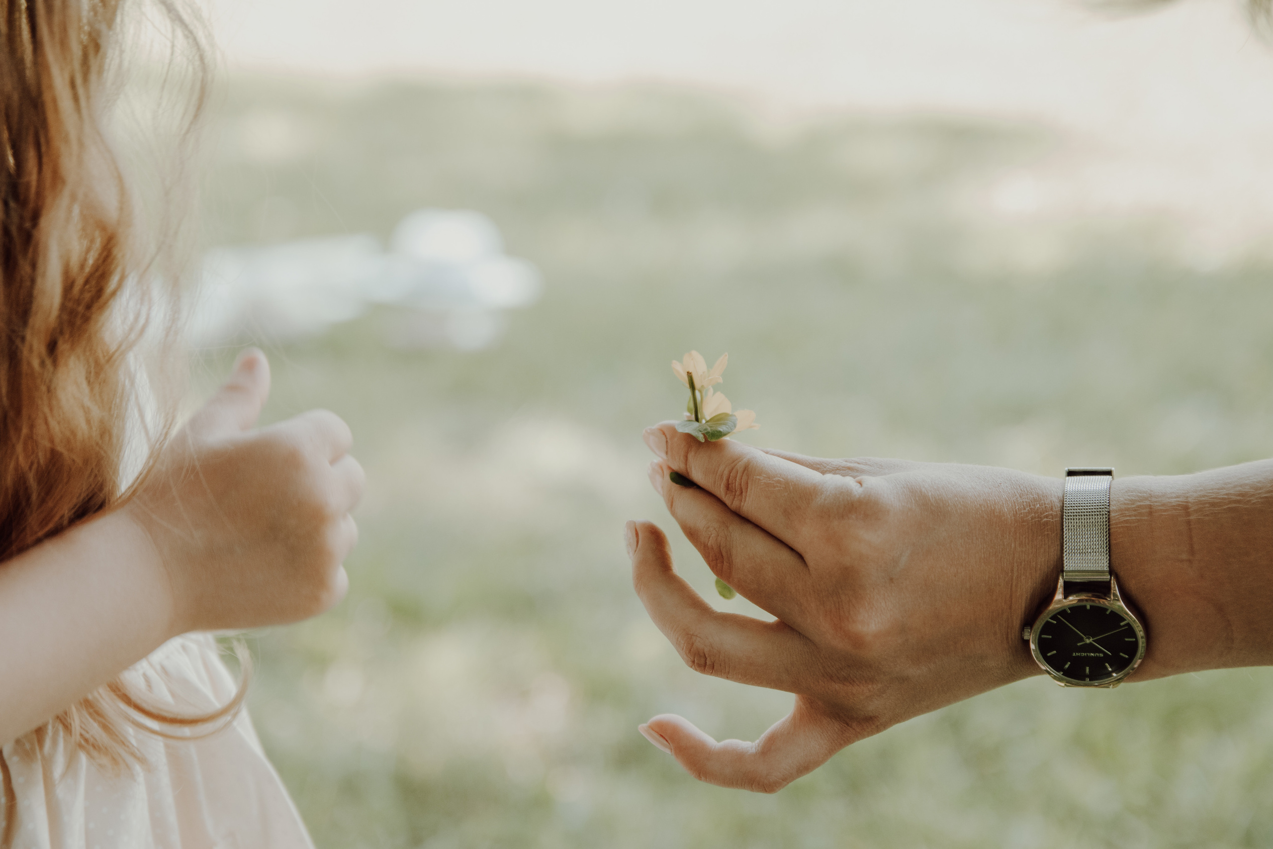 Мармелад со вкусом черешни. Семейный фотограф в Москве