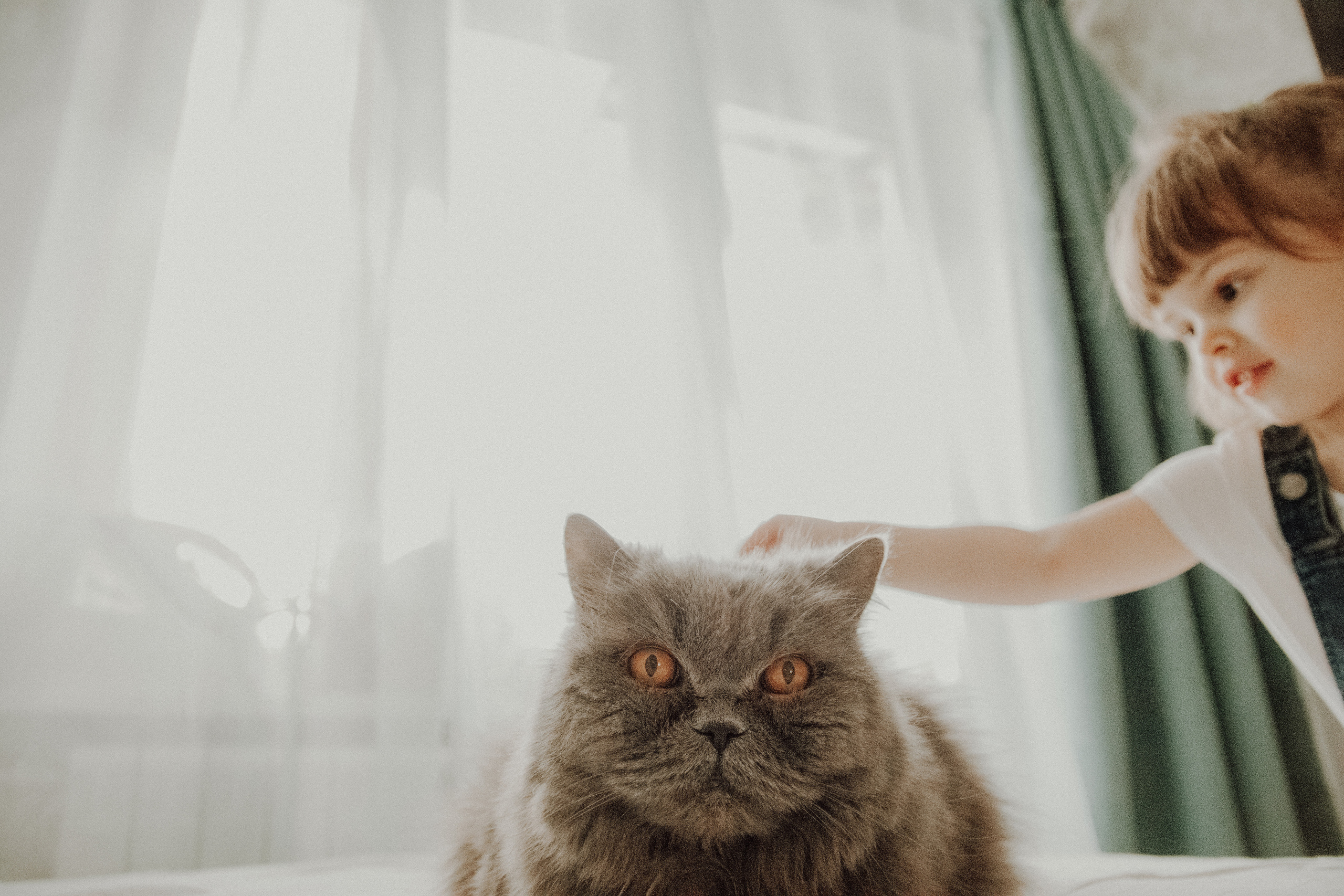 Три сердца и одно пушистое. Семейный фотограф в Москве