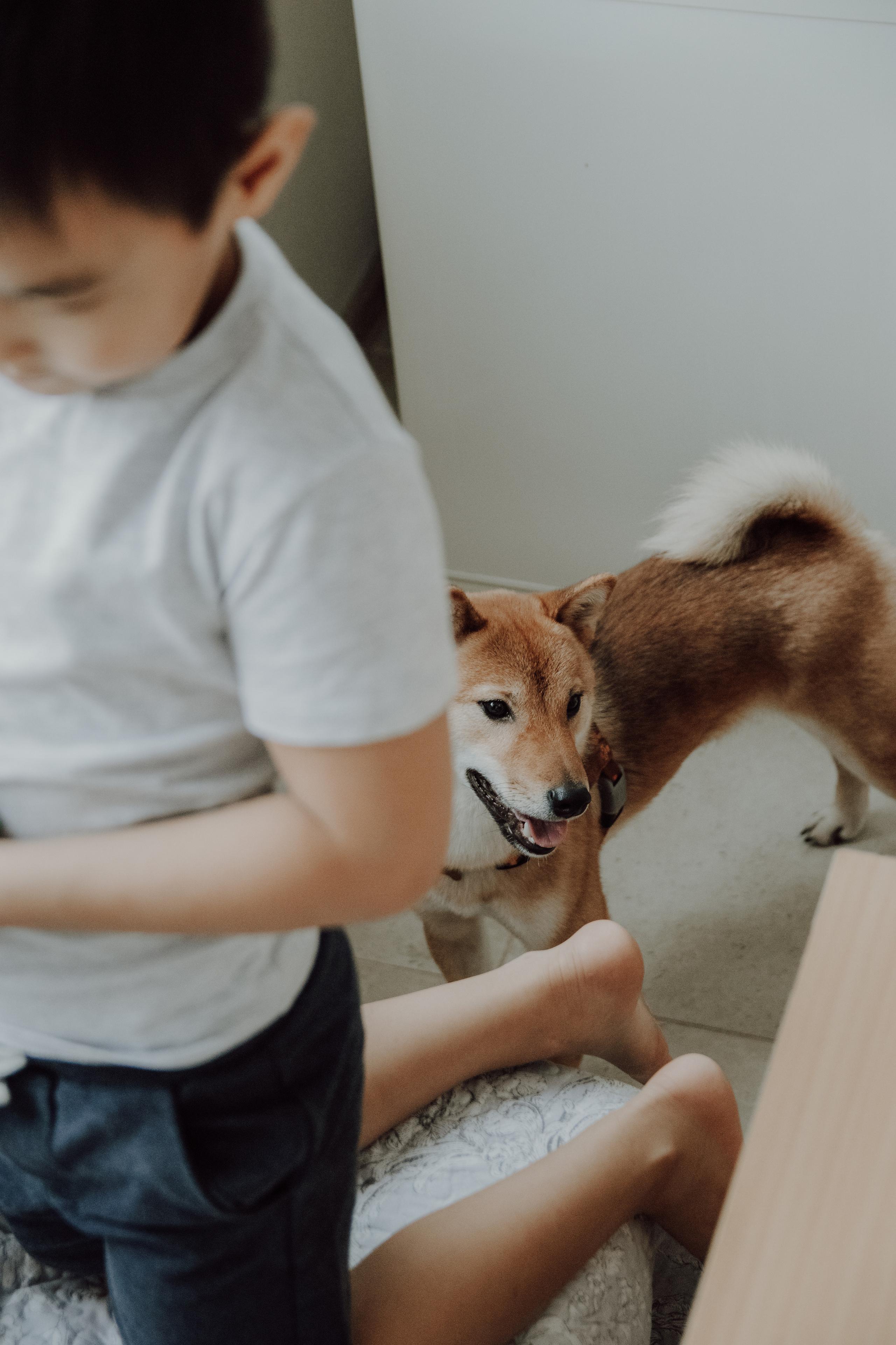 С ароматом благовоний. Семейный фотограф в Москве